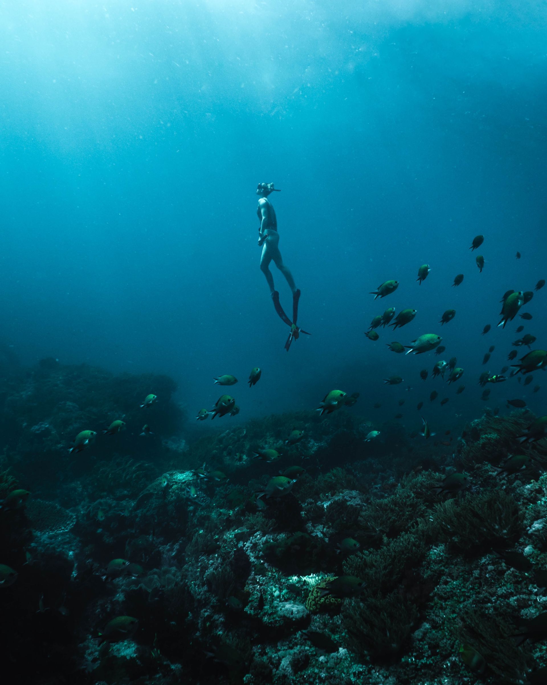 Buceo Mojacar Buceo Mojacar