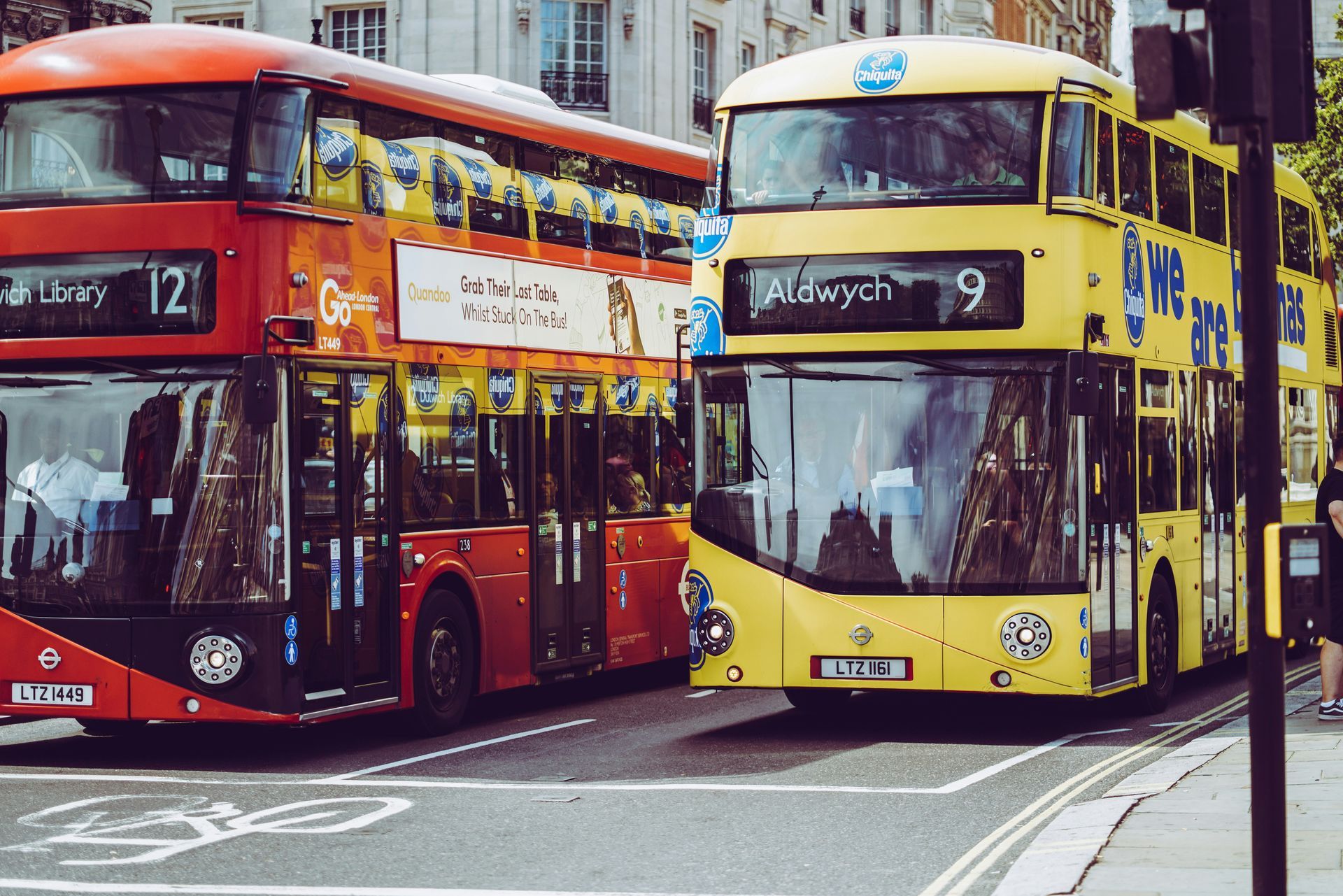Buses Buses