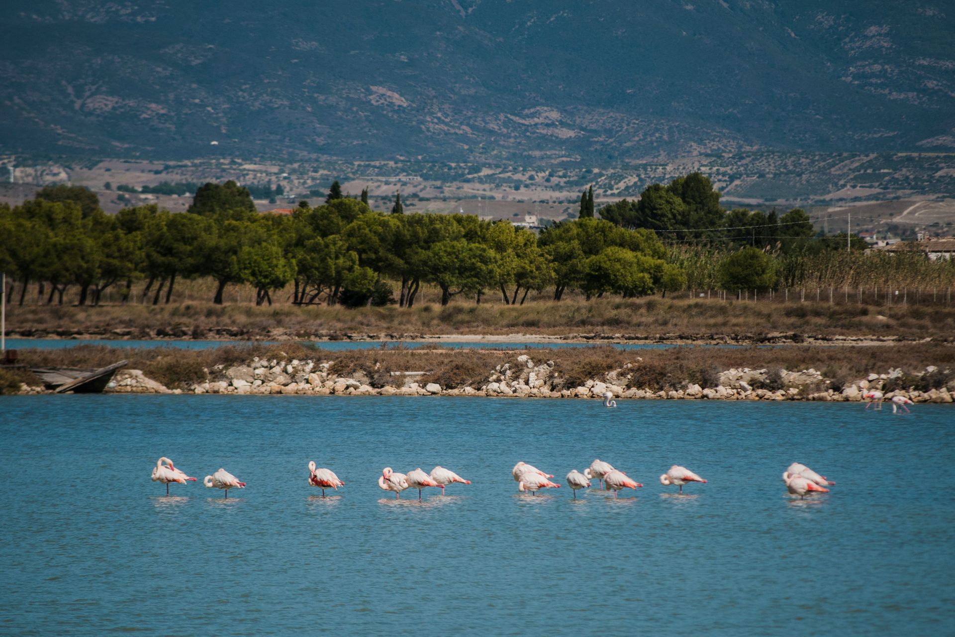 Cagliari Cagliari