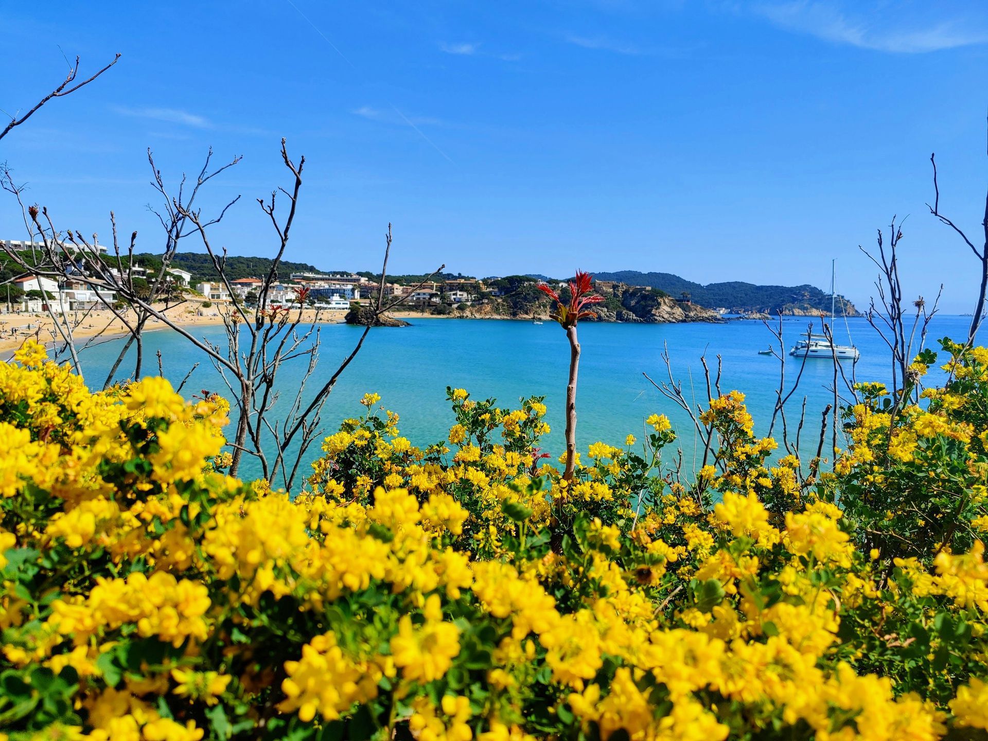 Cala Estreta, Palamós Cala Estreta, Palamós