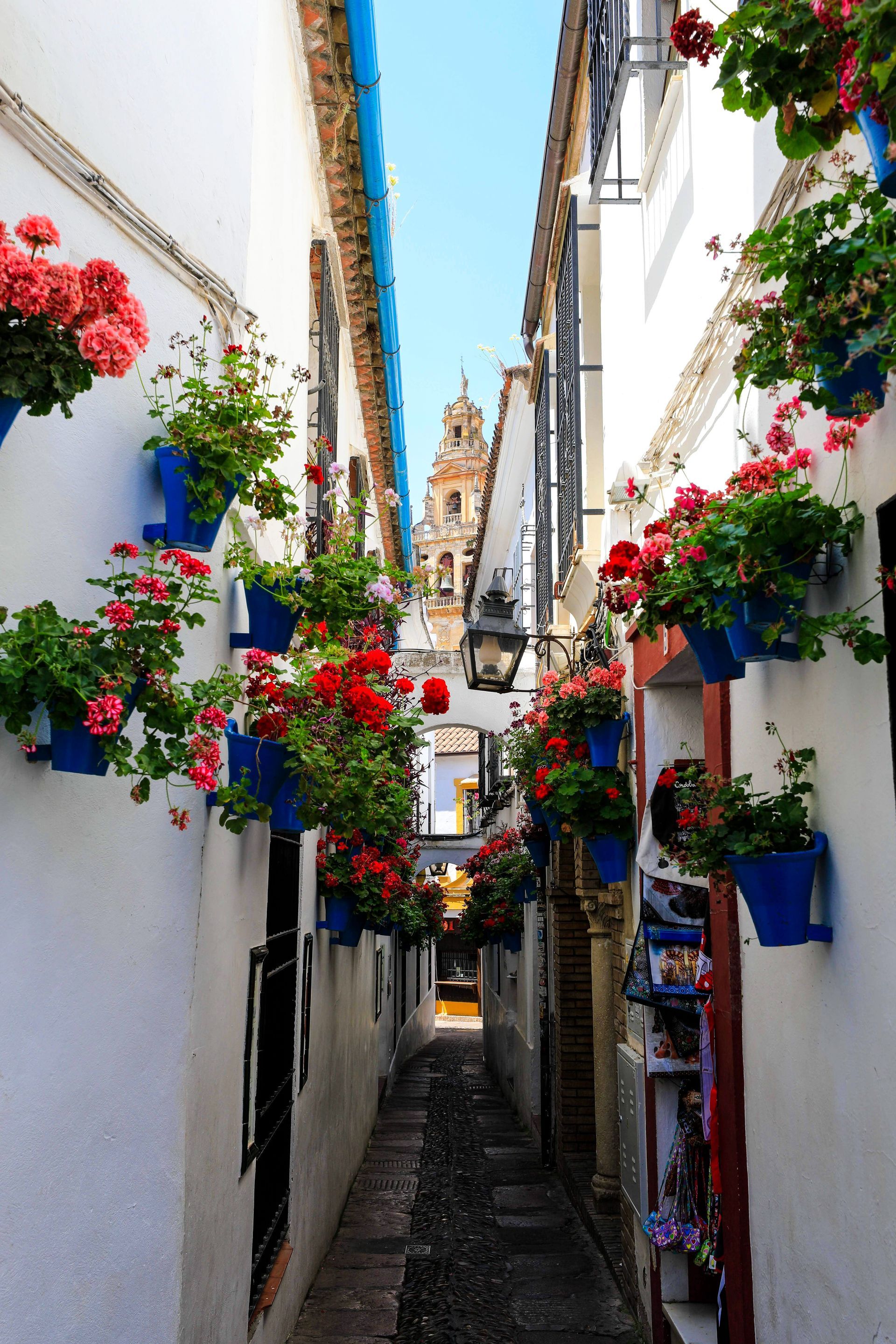 Calleja de las Flores Calleja de las Flores