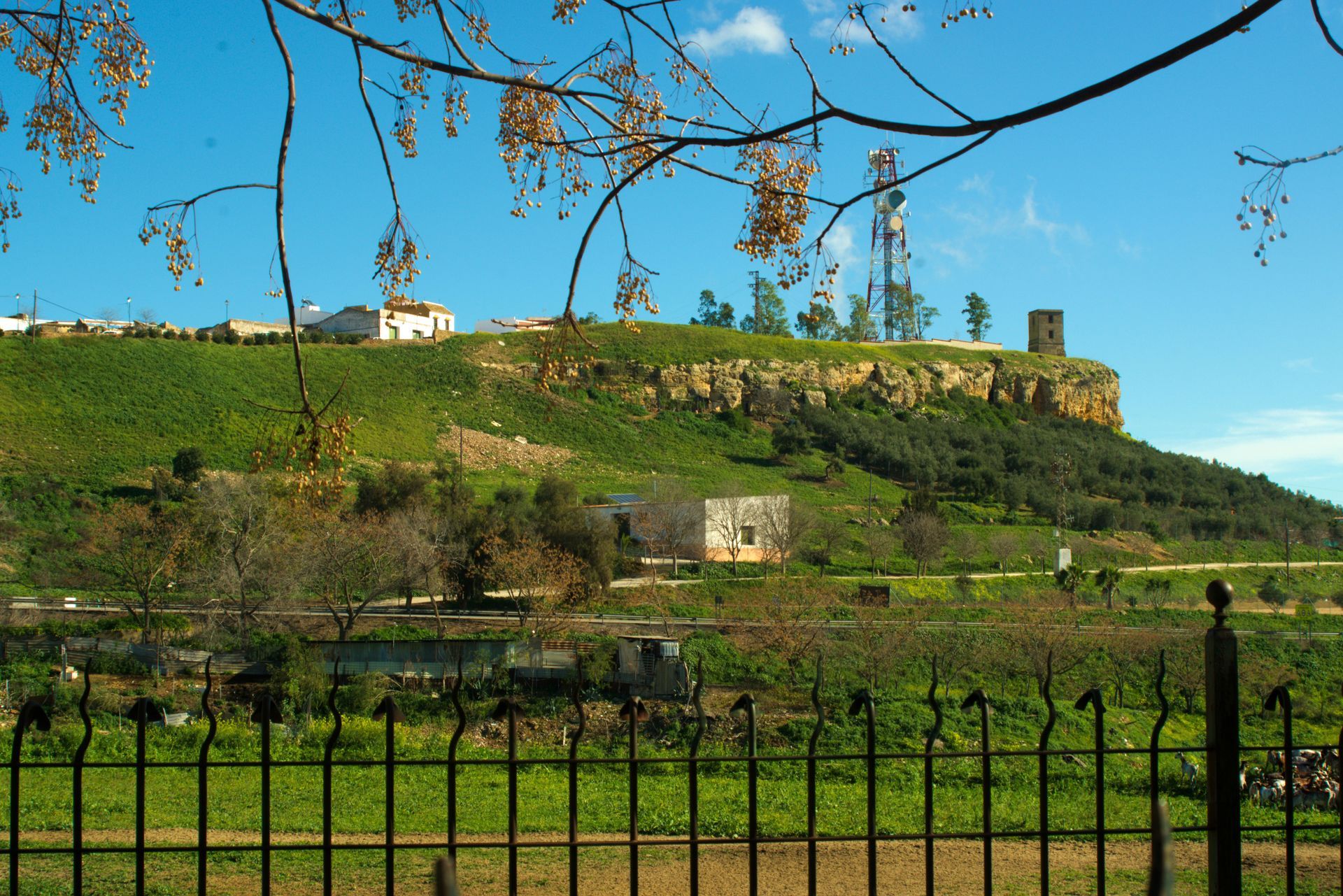 Carmona