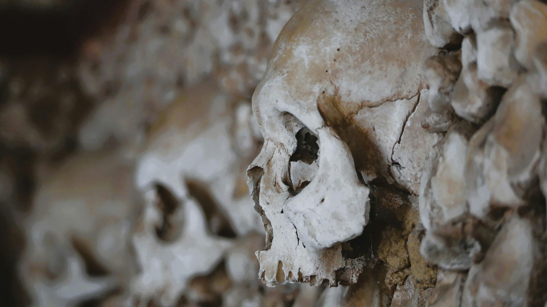 Catacombs Catacombs