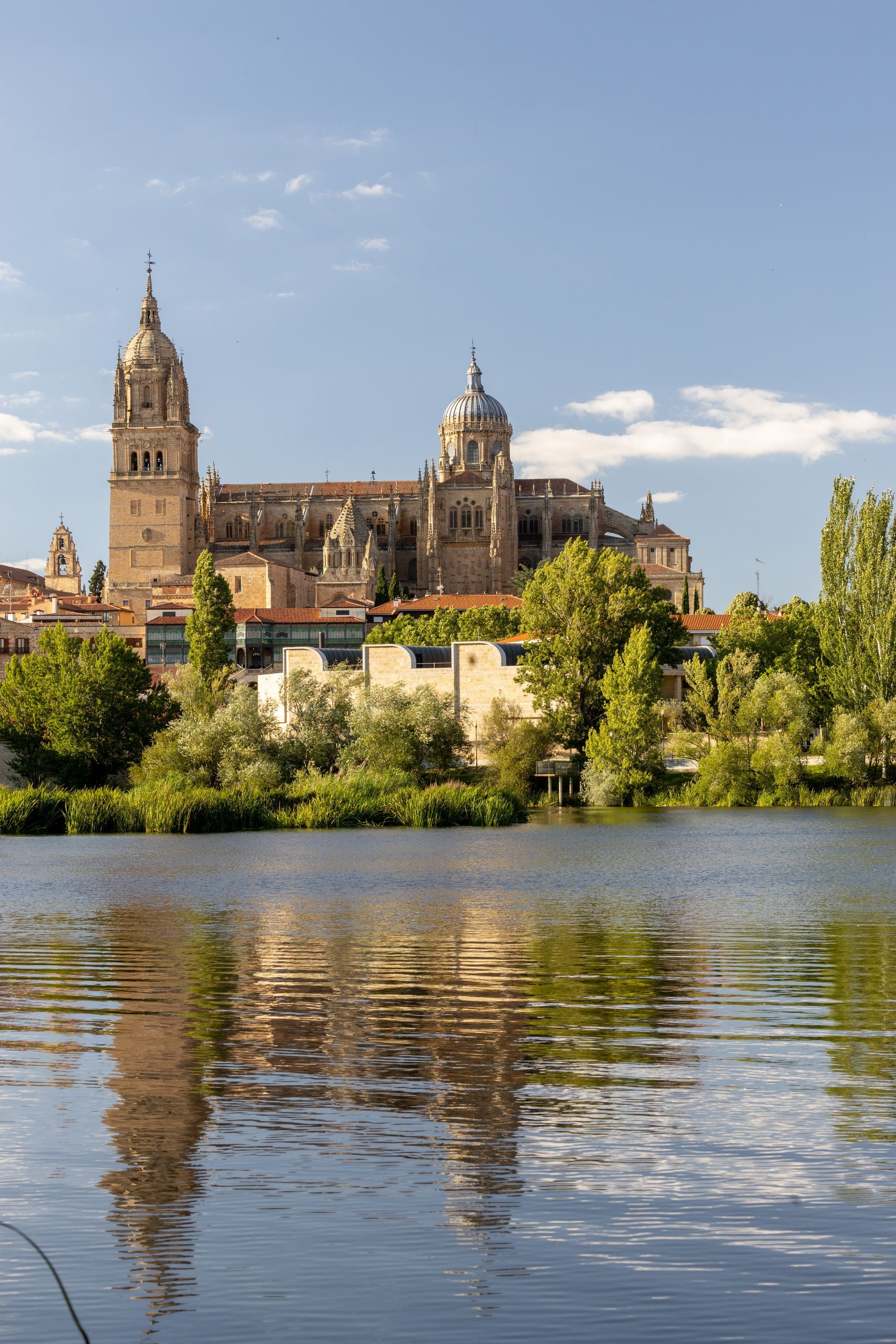 Cathedral of Salamanca Cathedral of Salamanca