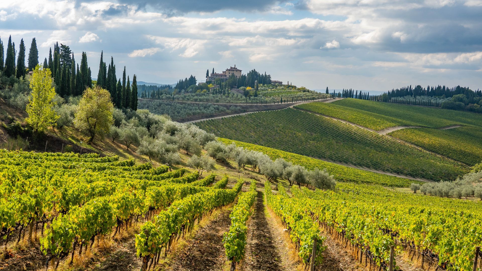 Chianti Chianti