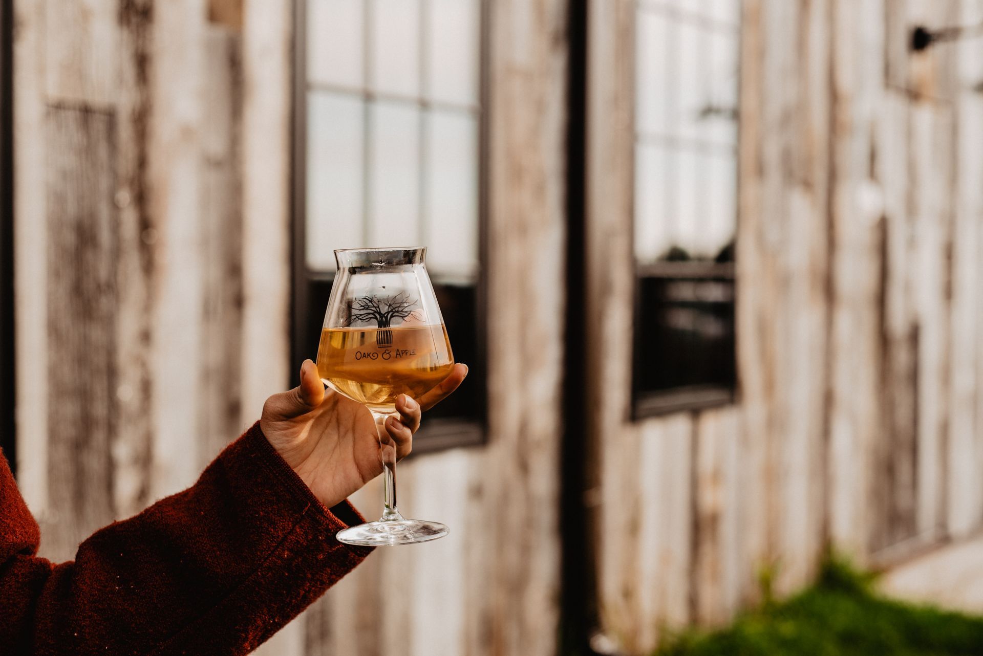 Cider
