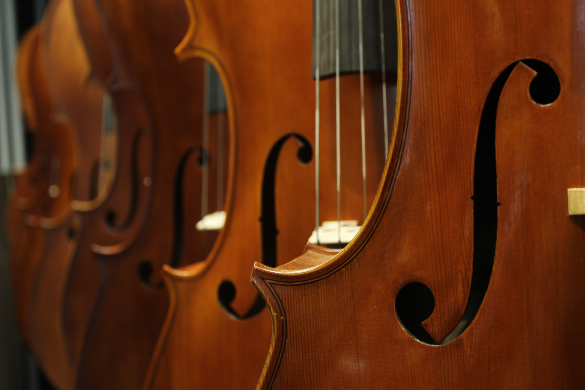 Consorcio Liutai Antonio Stradivari Consorcio Liutai Antonio Stradivari
