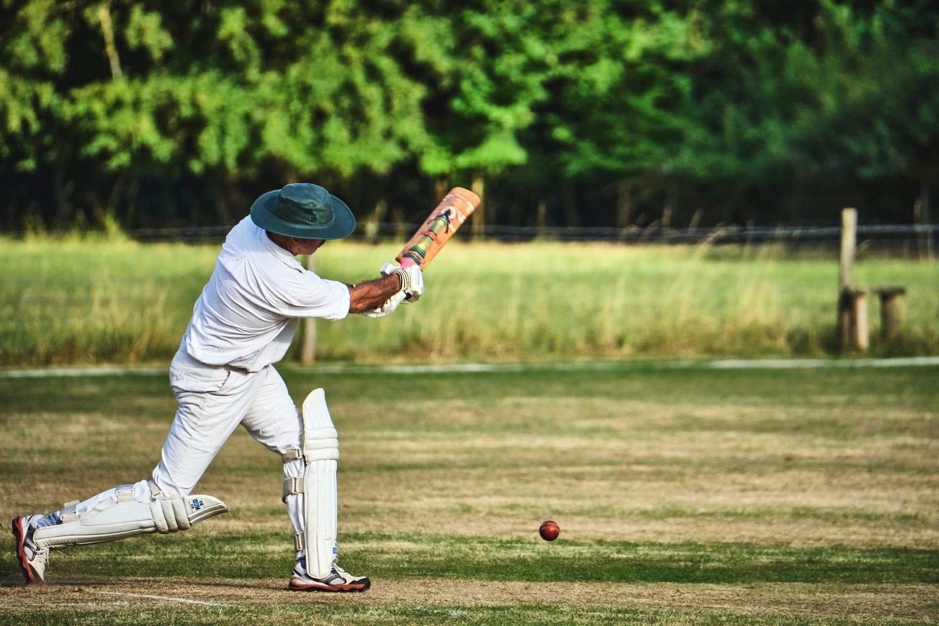 Cricket Cricket