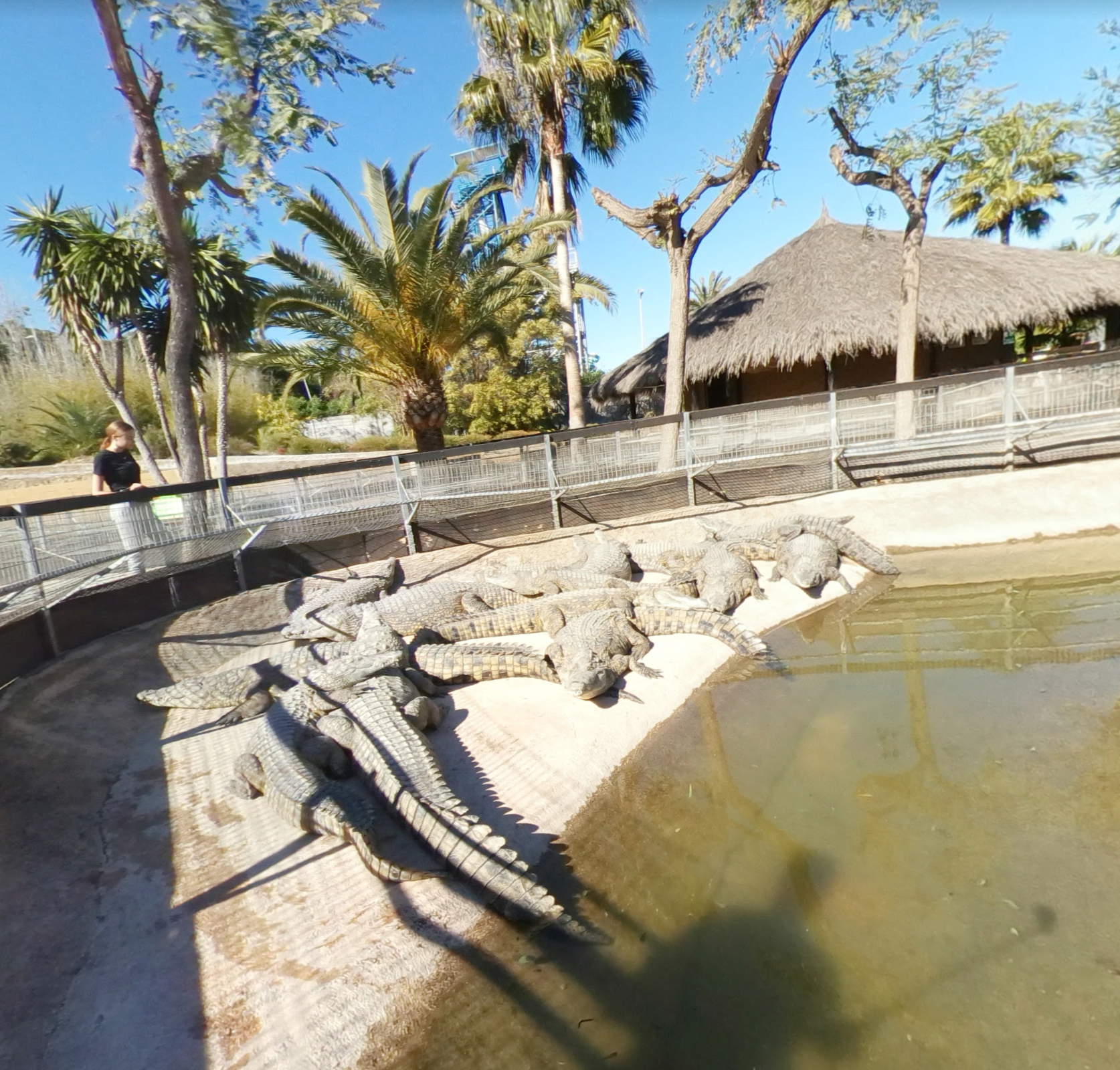 Crocodile Park by Google Earth Crocodile Park by Google Earth