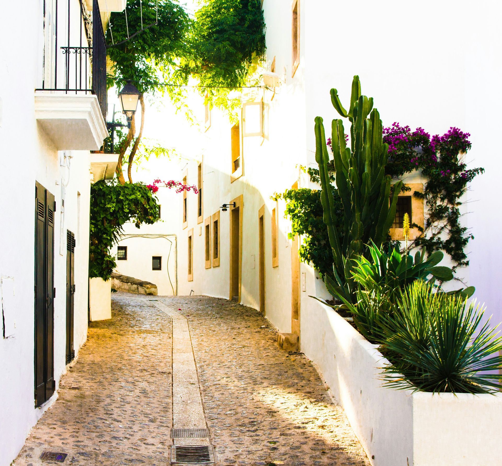 Dalt Vila Dalt Vila