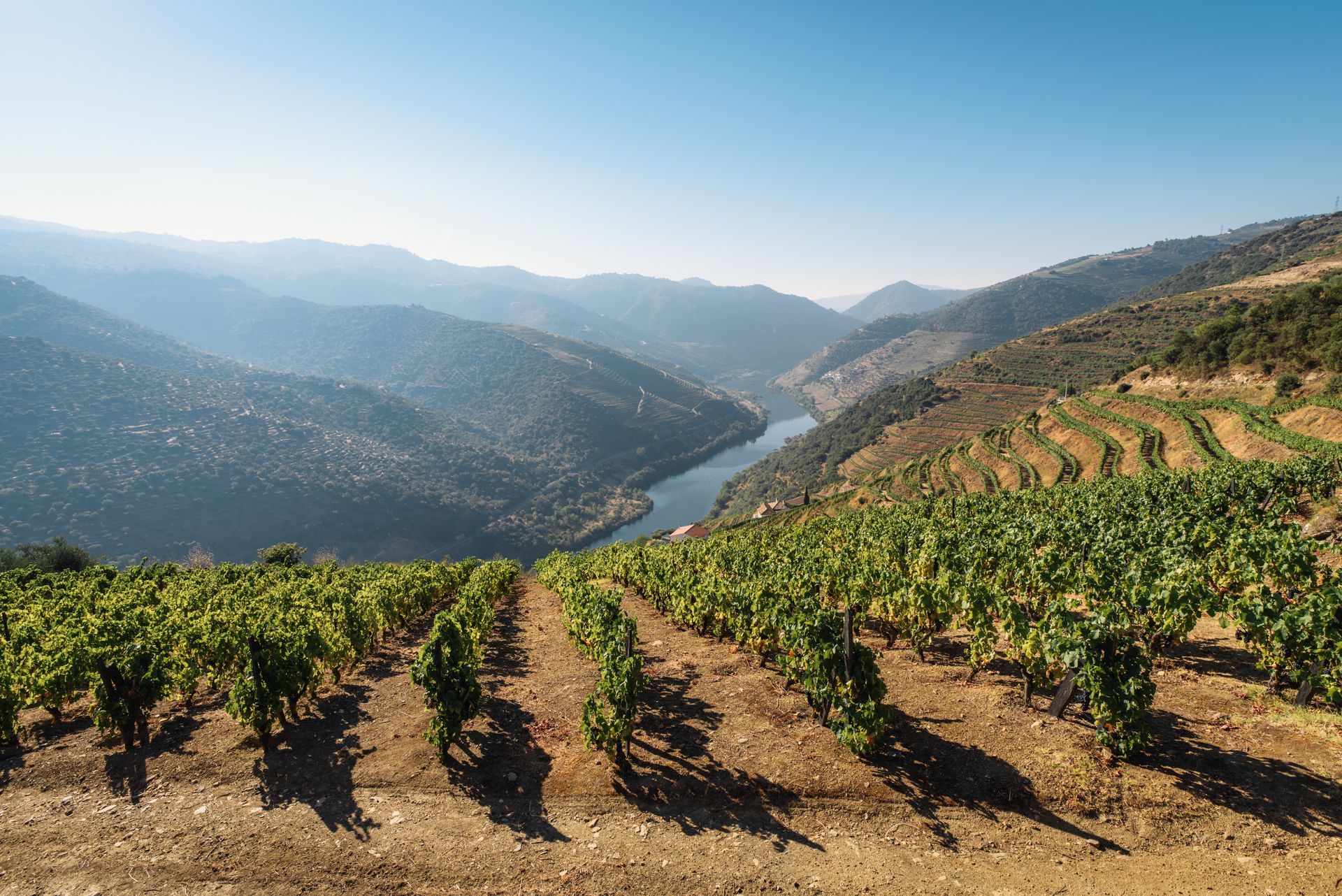 Douro Valley Douro Valley