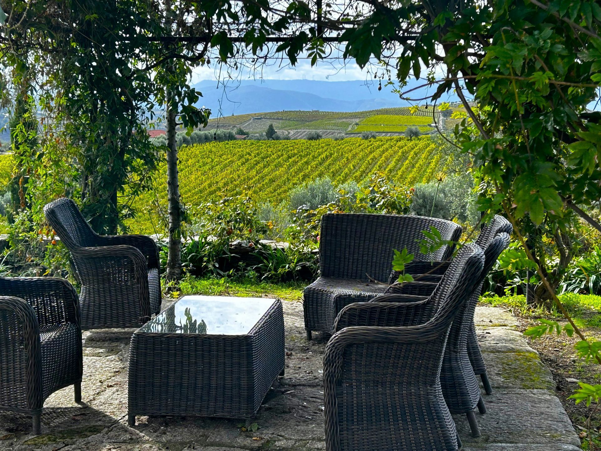 Douro Valley