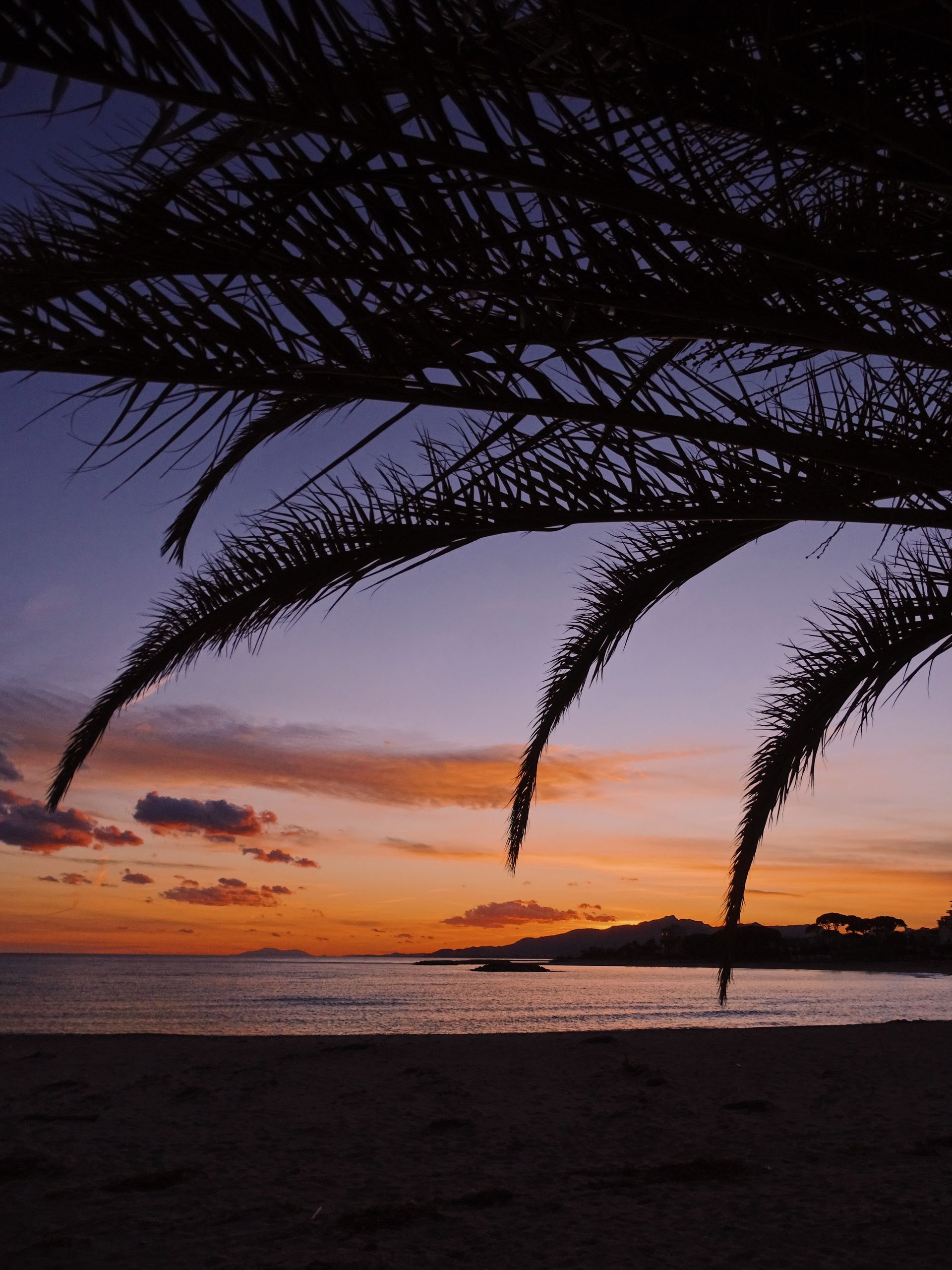 Enjoy a Moonlit Stroll by the Mediterranean Enjoy a Moonlit Stroll by the Mediterranean