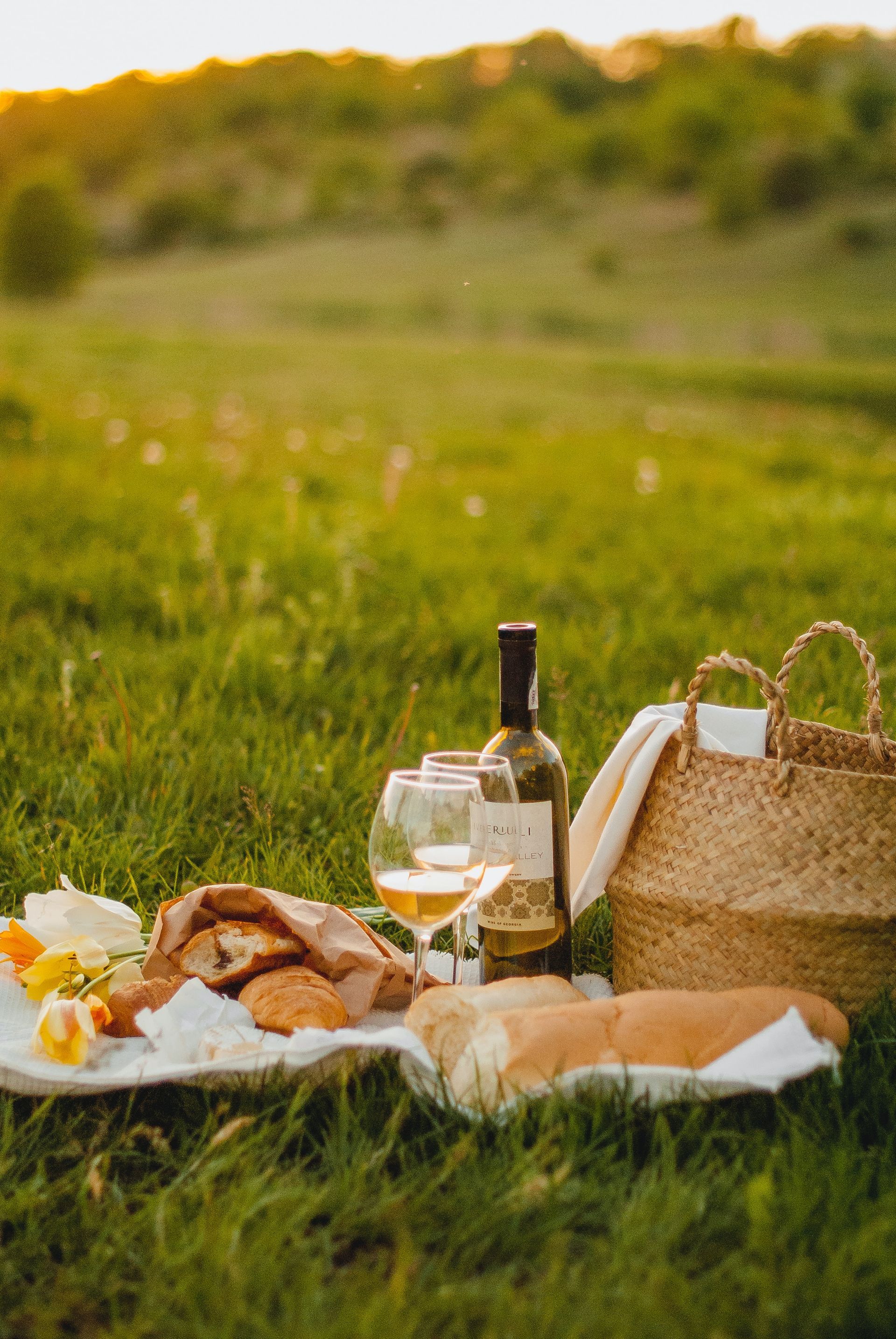 Enjoy a Picnic in Parco del Mincio Enjoy a Picnic in Parco del Mincio