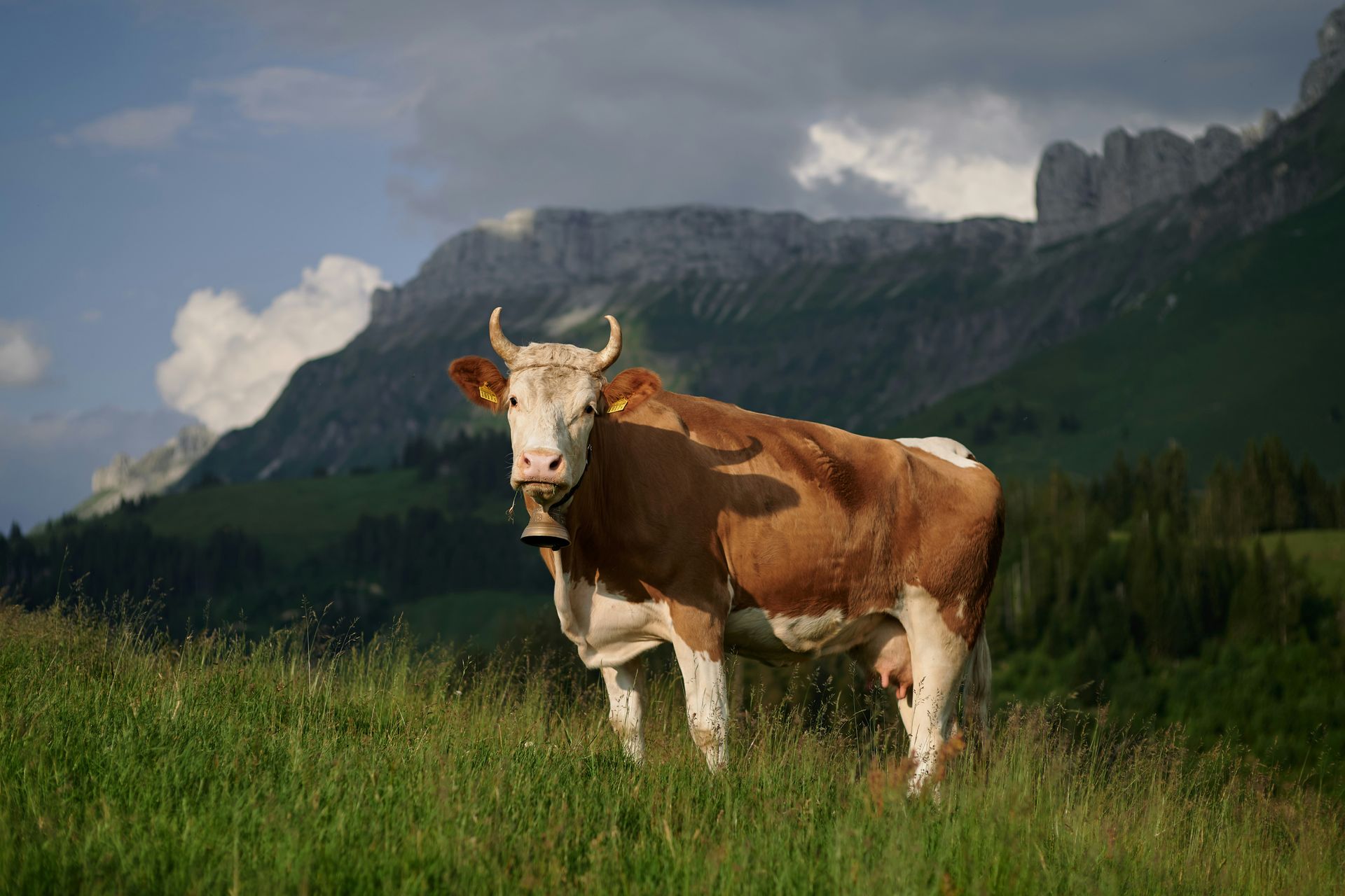 Entlebuch Biosphere Reserve Entlebuch Biosphere Reserve