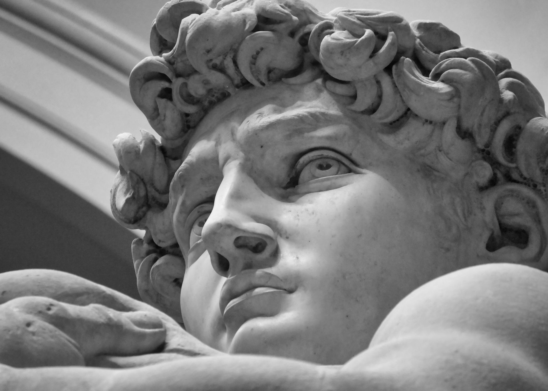 Face of David