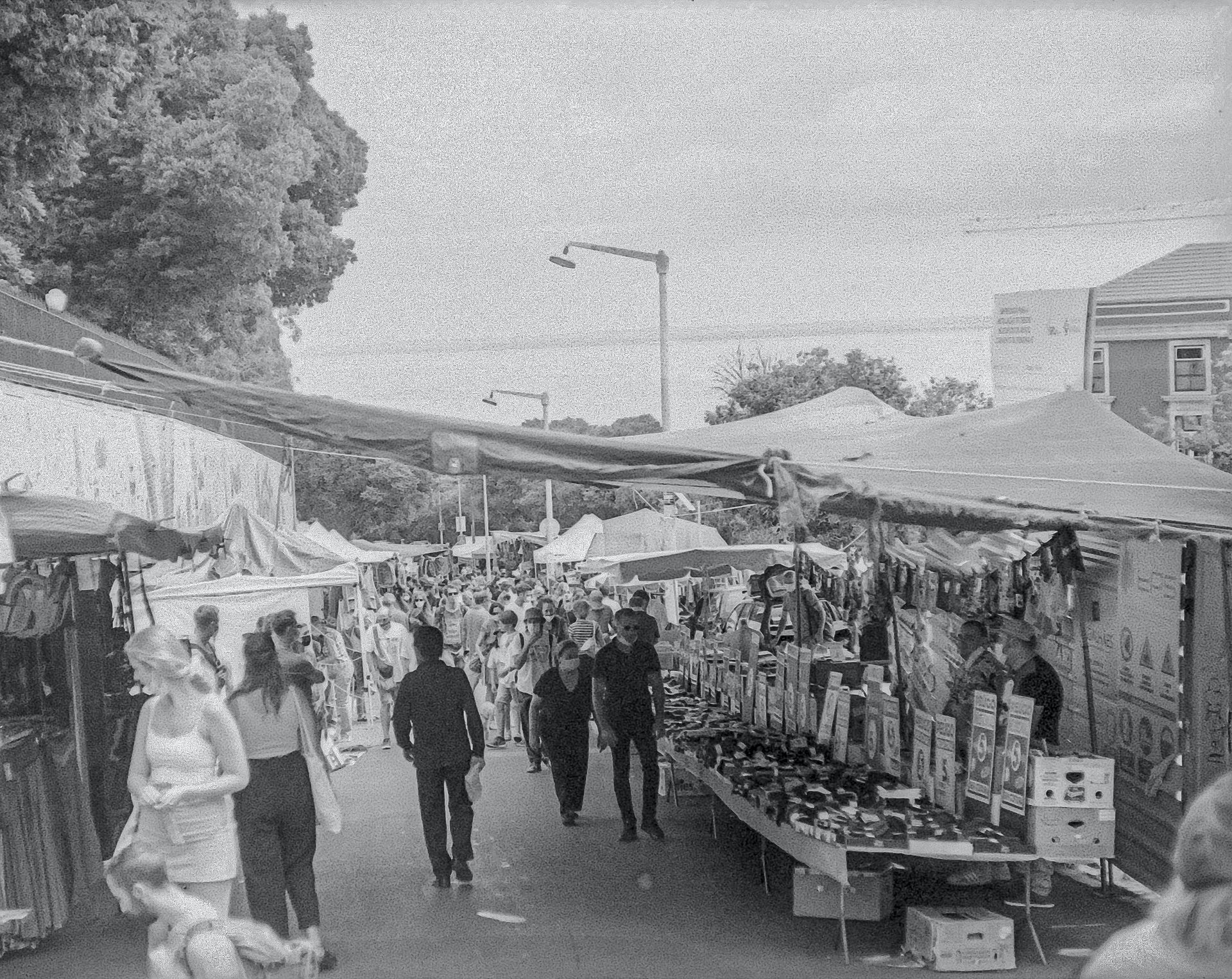 Feira da Gata Feira da Gata