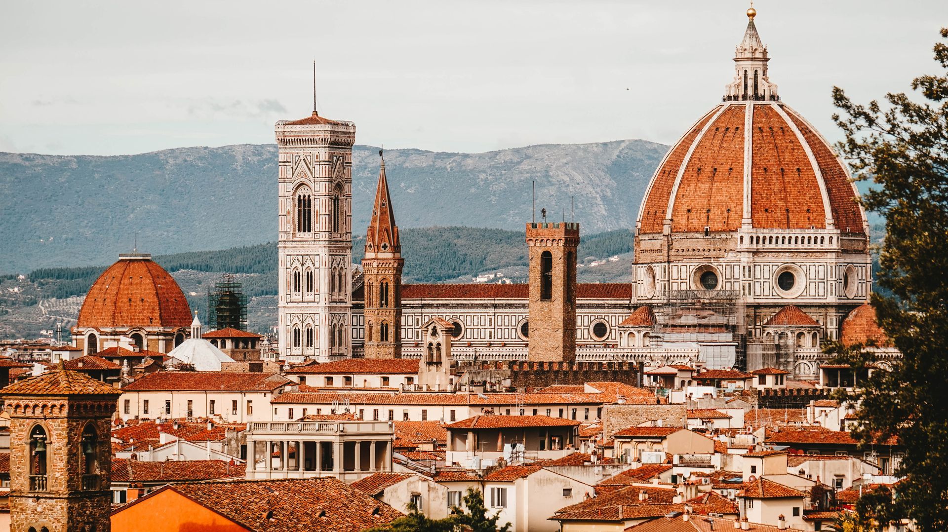 Florence Florence