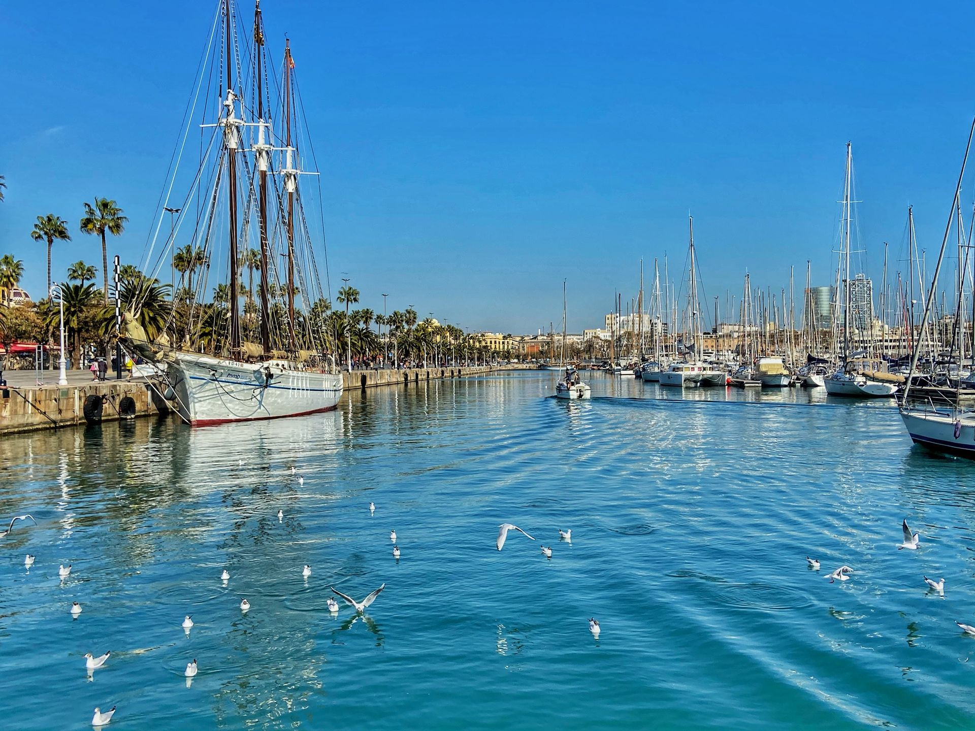 Gandia Marina Real Gandia Marina Real