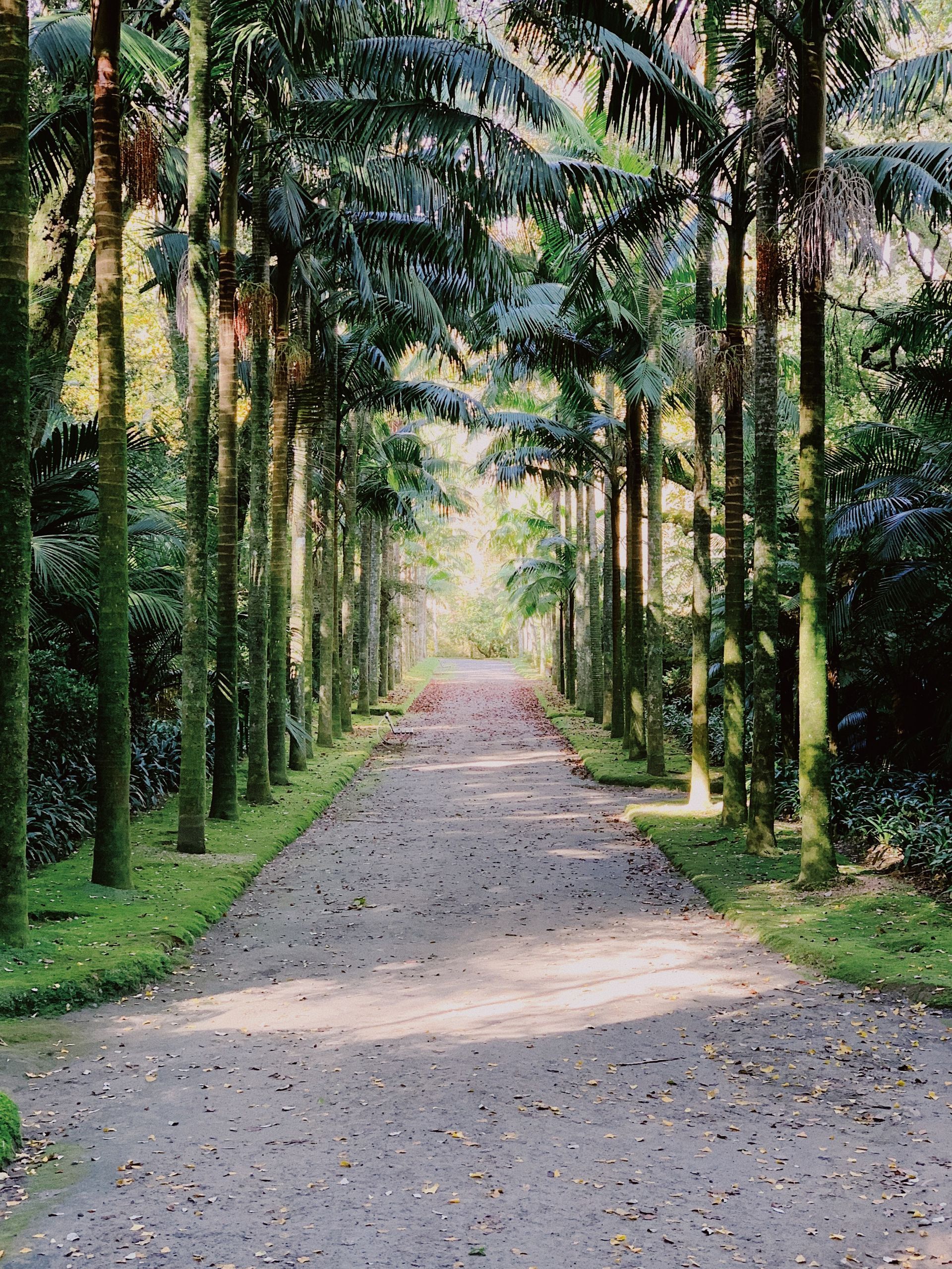 Gardens and Parks in Ponta Delgada Gardens and Parks in Ponta Delgada