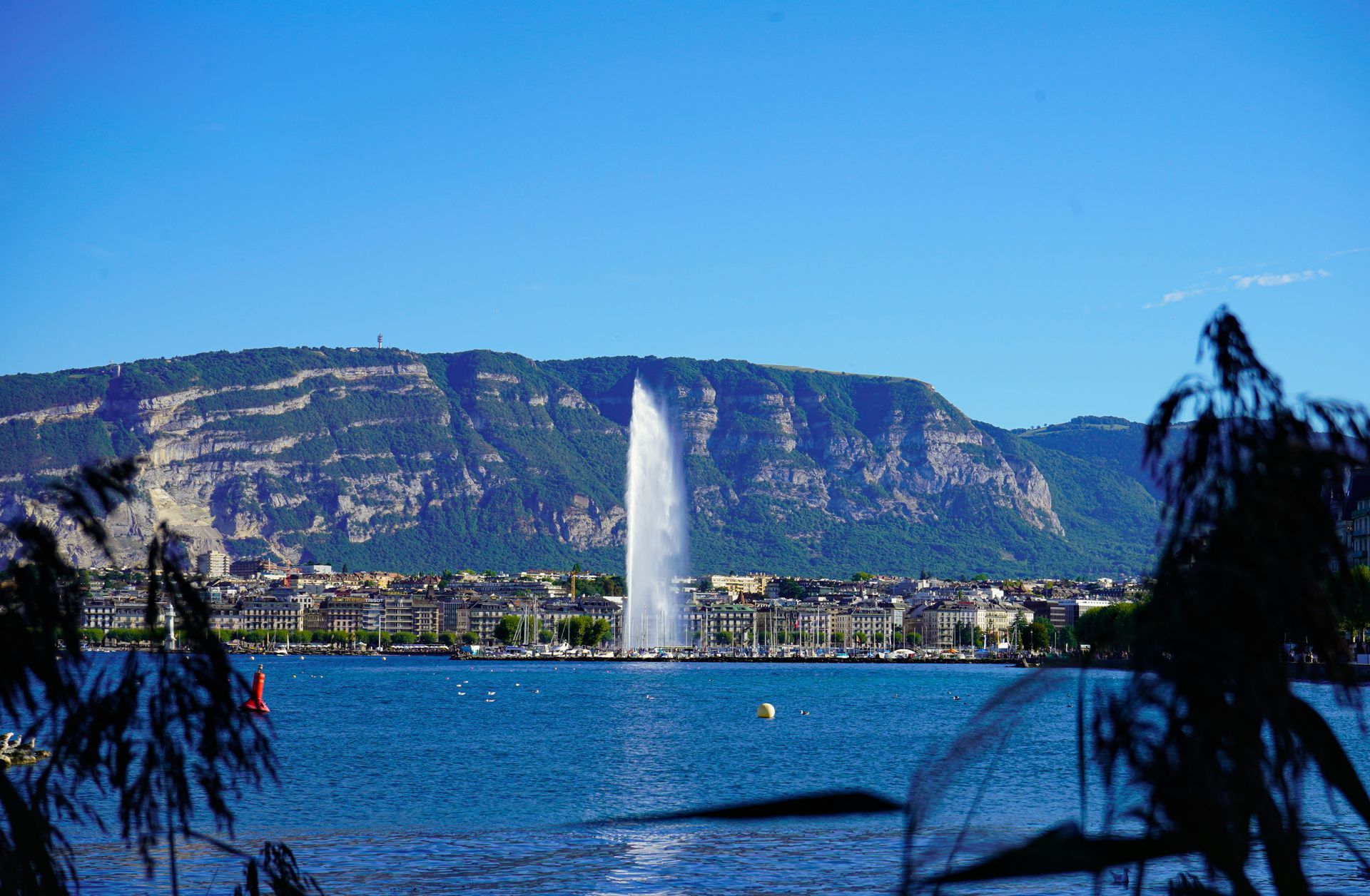 Geneva Geneva
