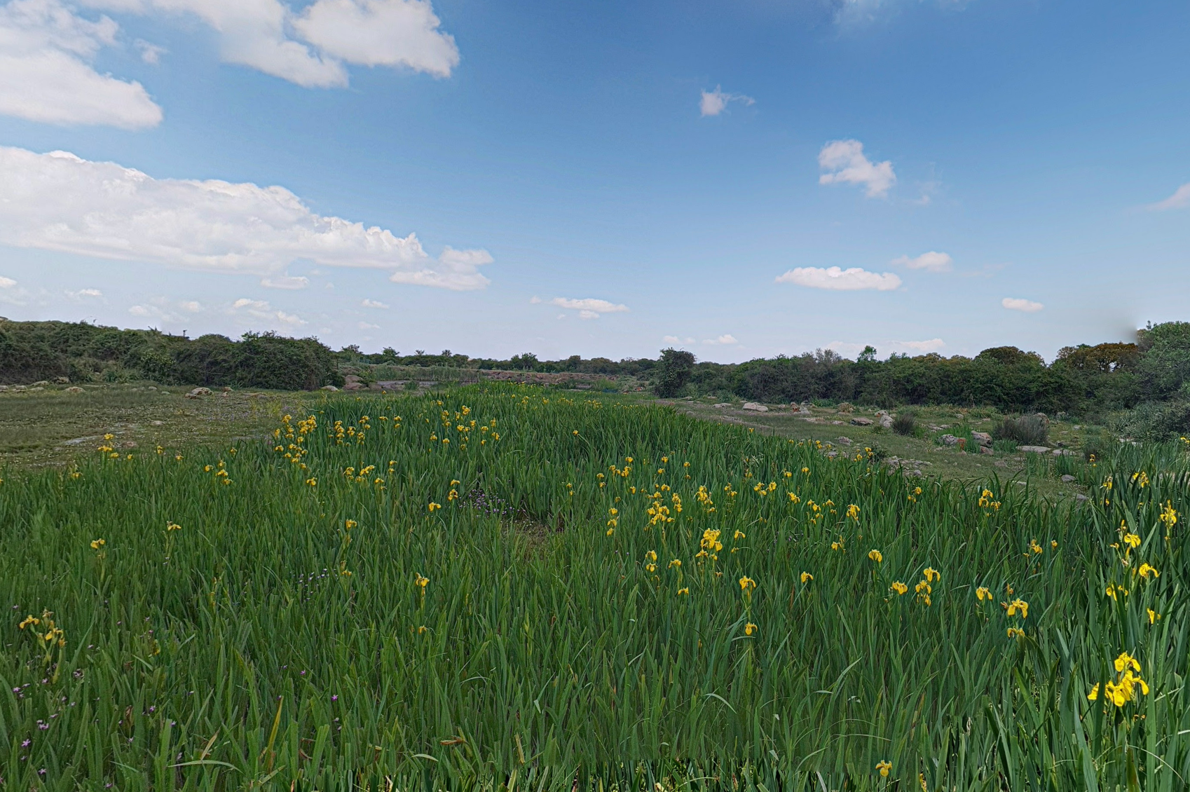 Giara di Gesturi by Google Earth