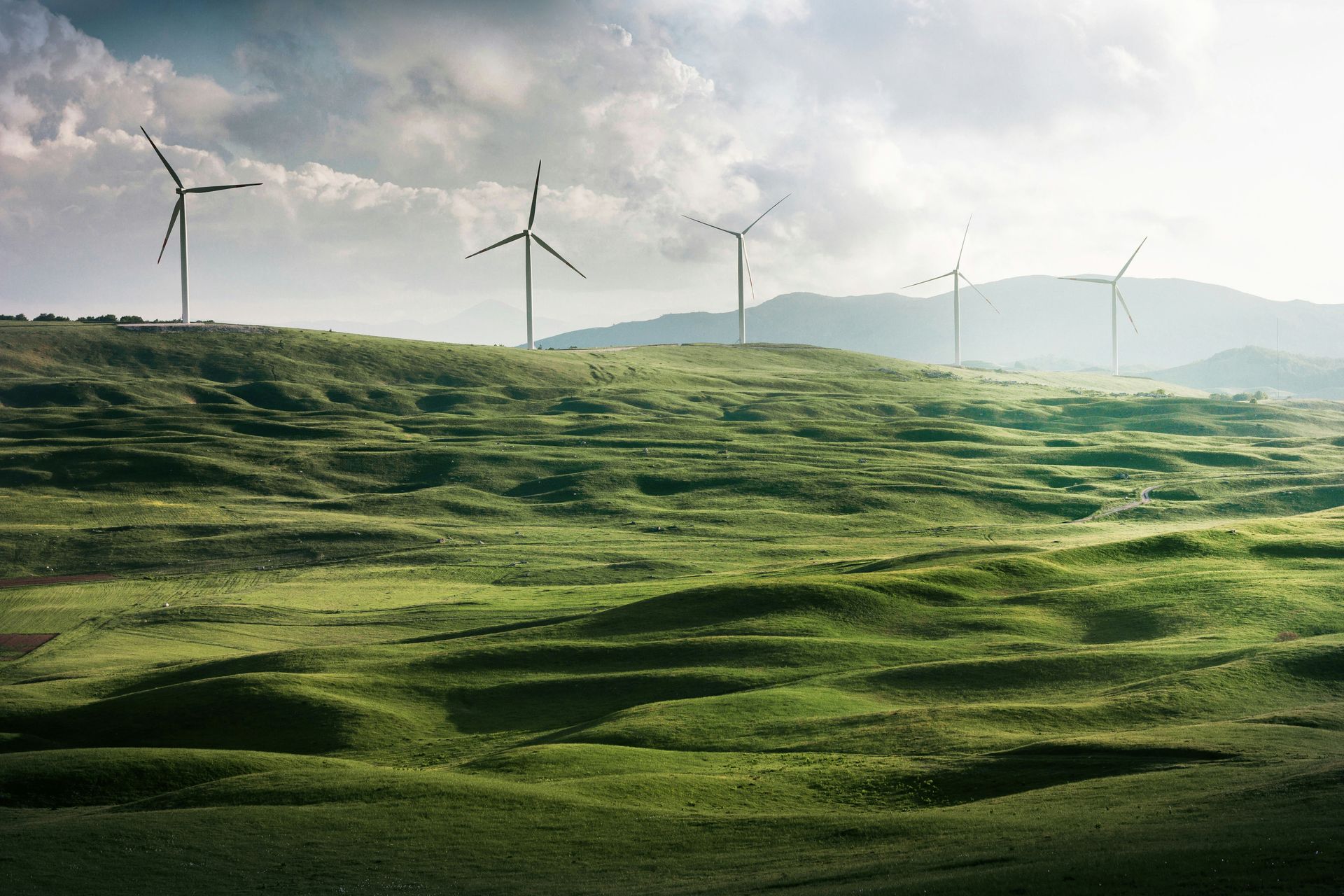 Green Tourism Green Tourism