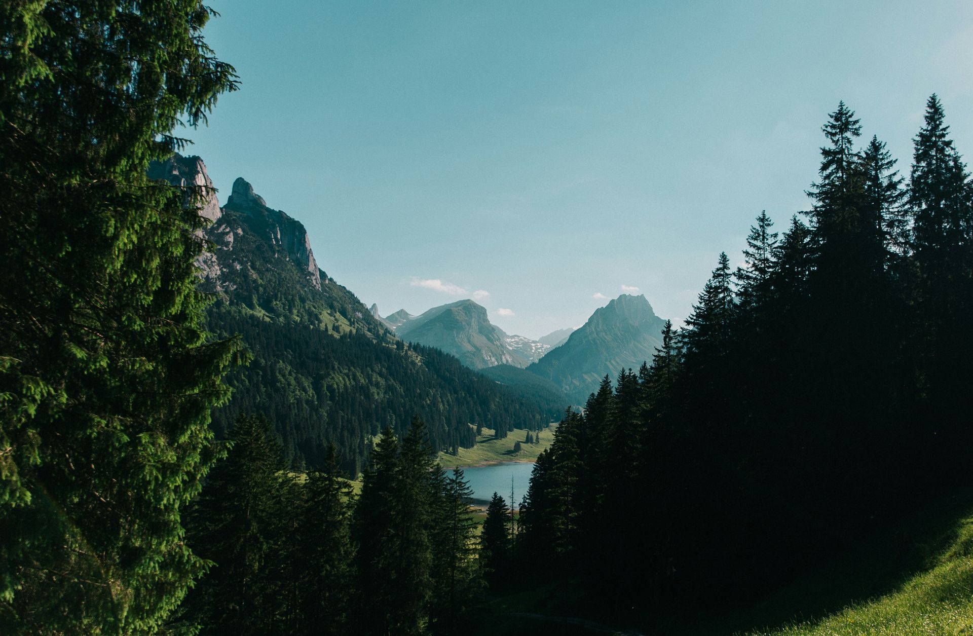 Guarda