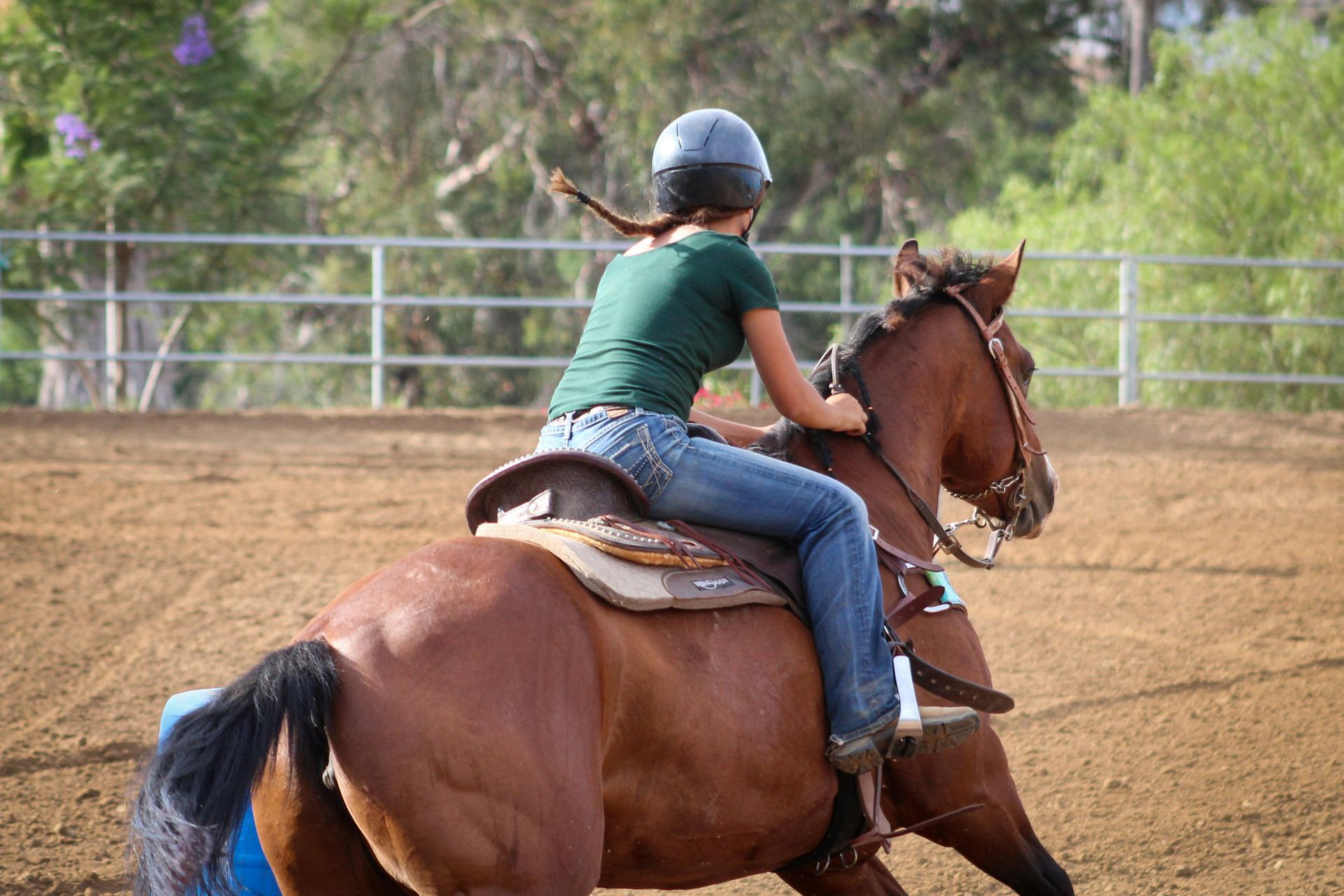 Gymkhana Gymkhana