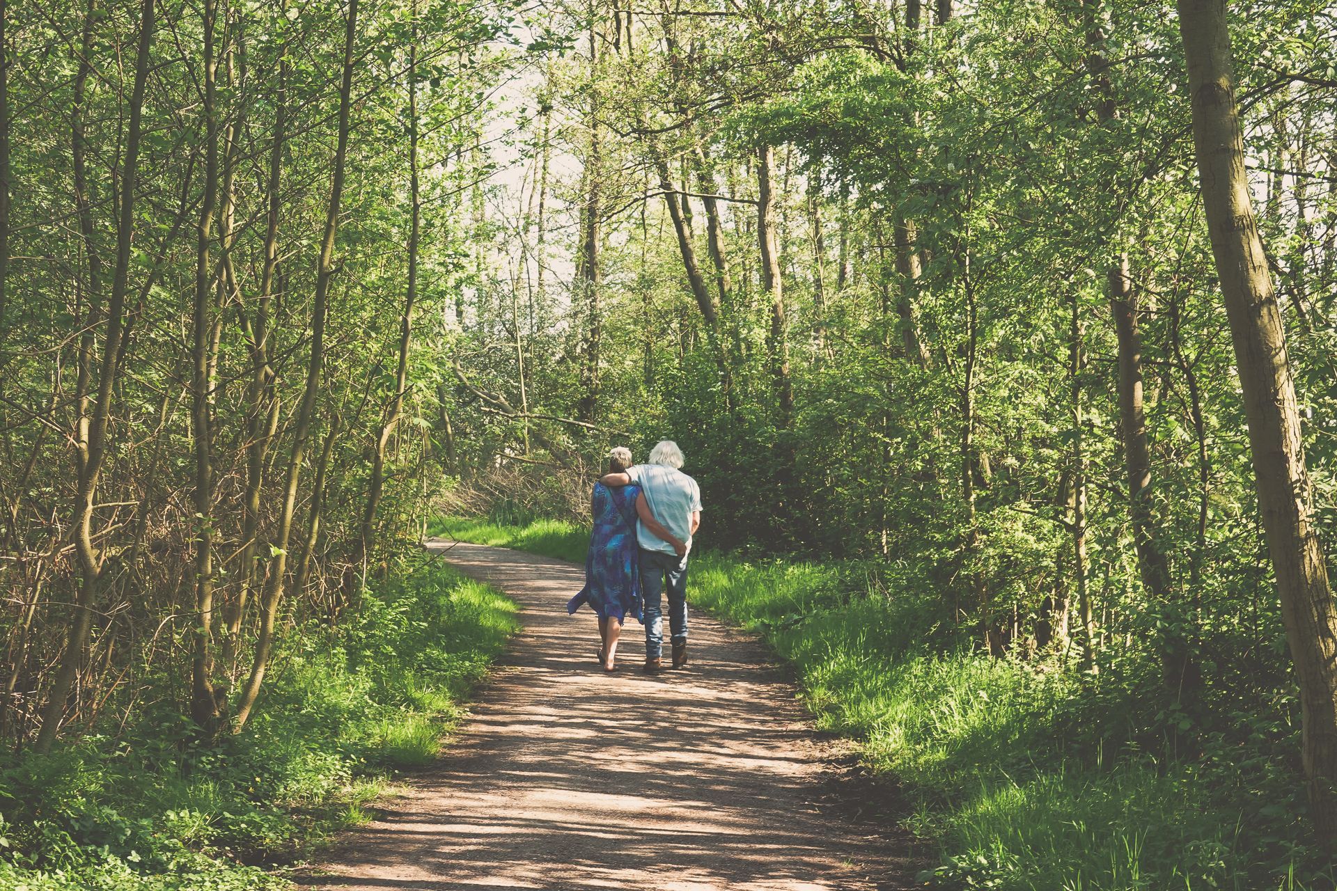 Het Amsterdamse Bos Het Amsterdamse Bos
