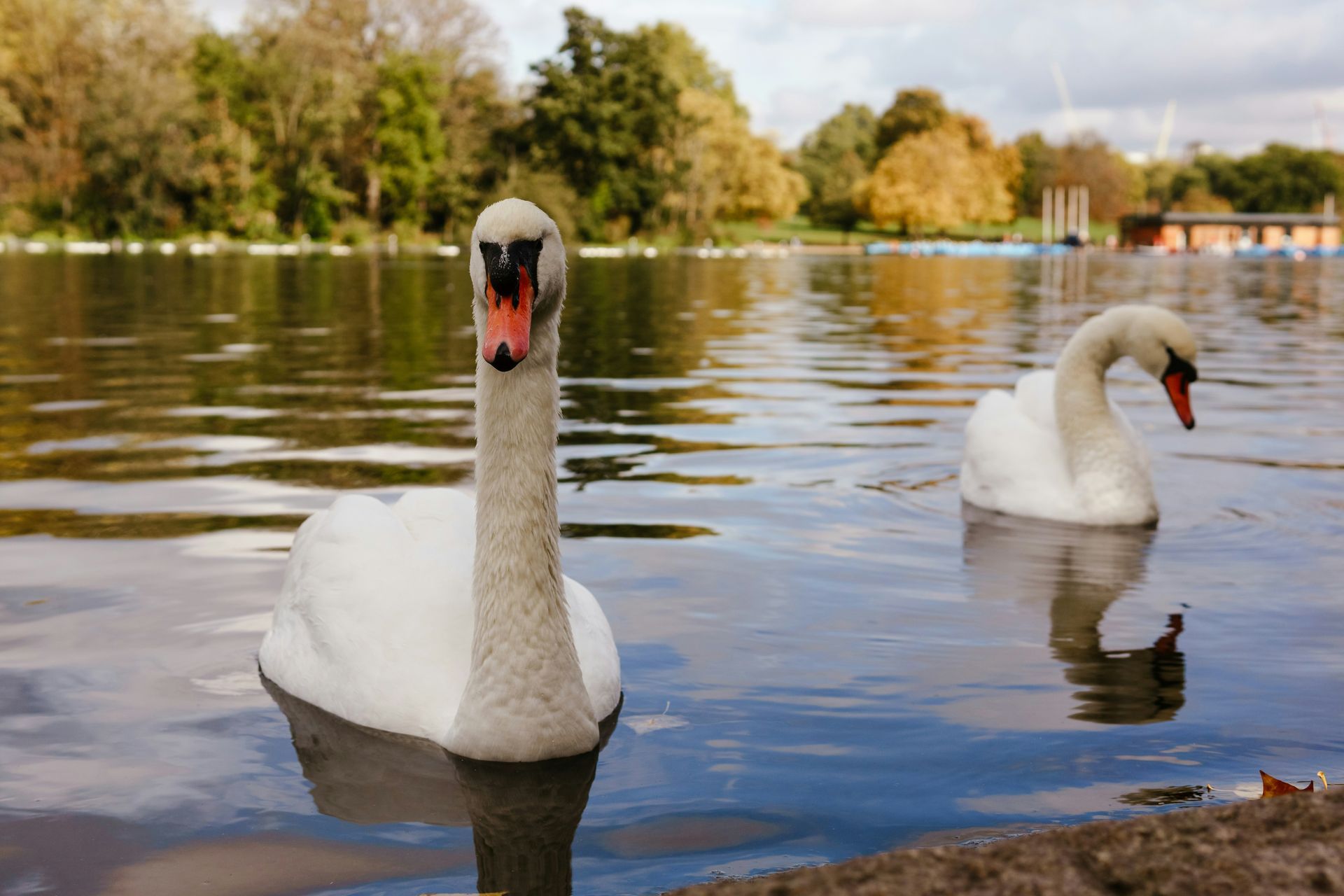 Hyde Park Hyde Park