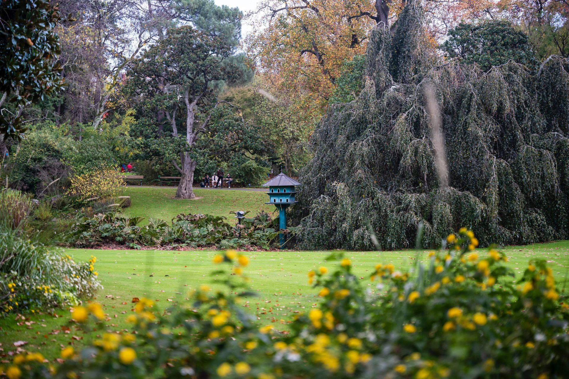 Jardin des Plantes Jardin des Plantes