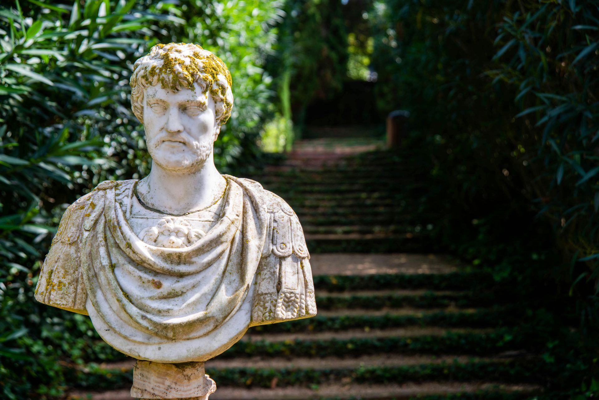 Jardins de Santa Clotilde Jardins de Santa Clotilde