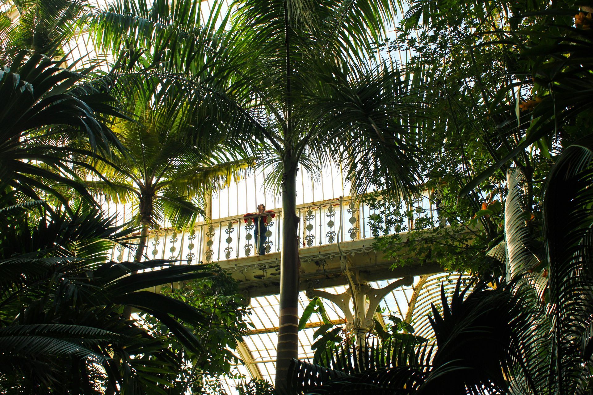 Kew Gardens Kew Gardens