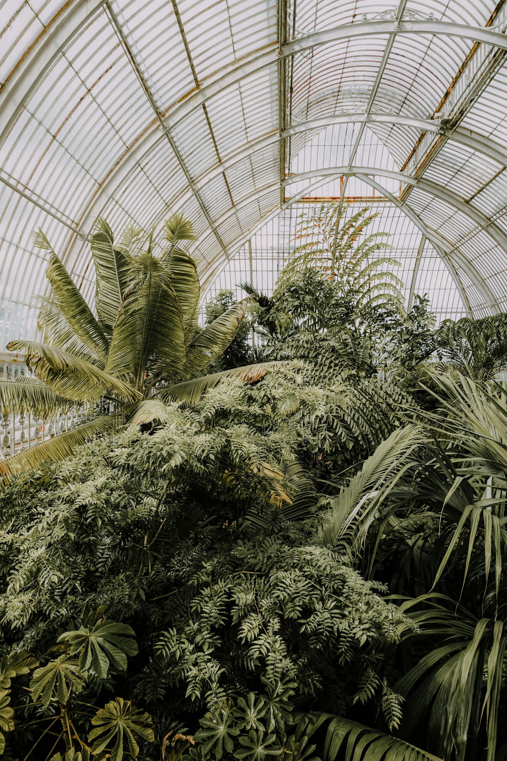 Kew Gardens Kew Gardens