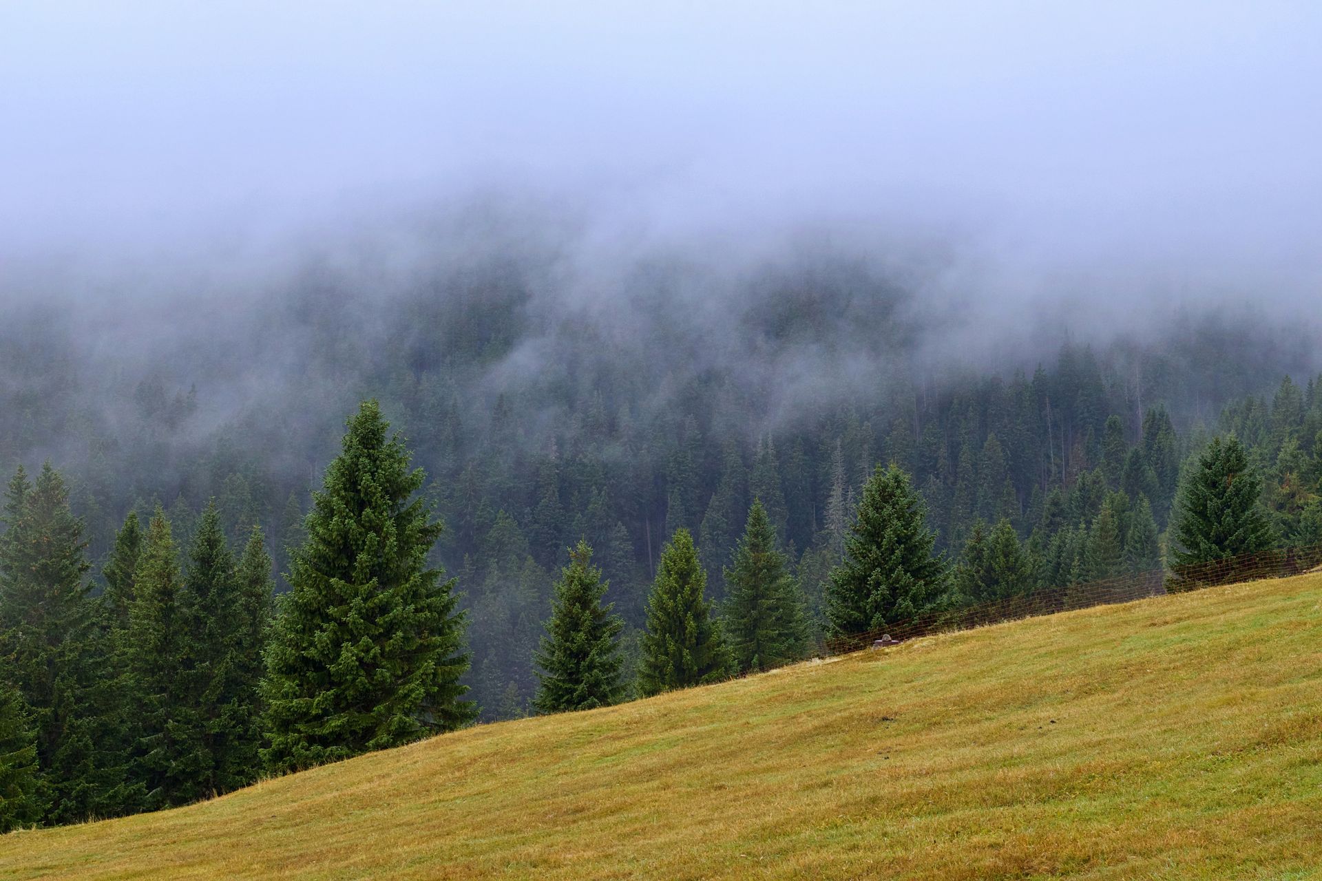 Krkonoše Krkonoše