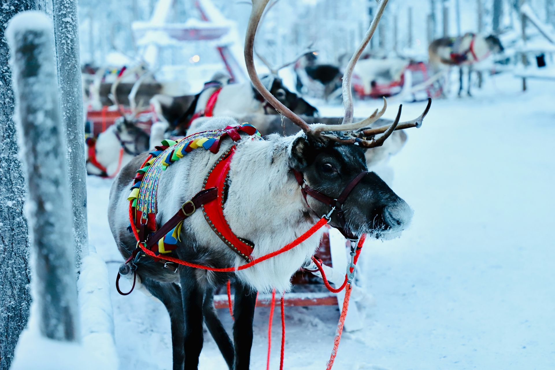 Lapland Lapland