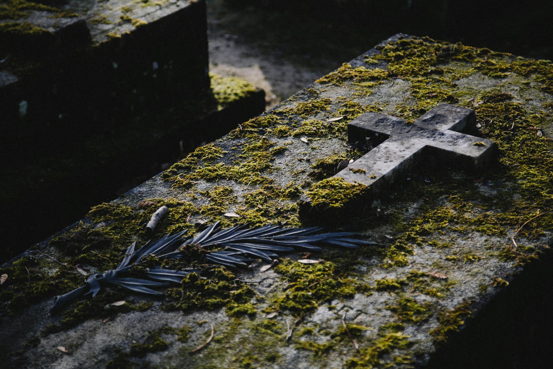 Legacy Beyond the Grave
