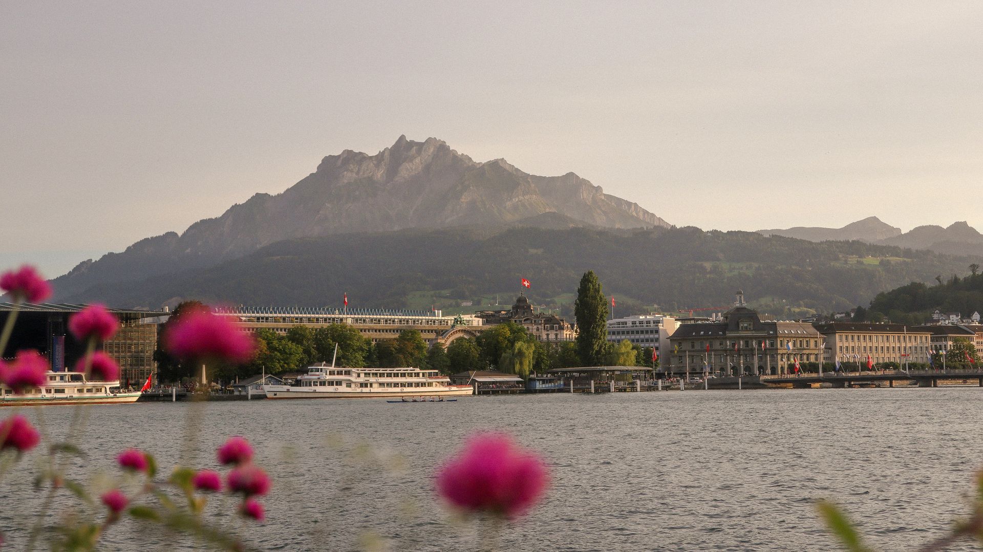 Lucerne Lucerne