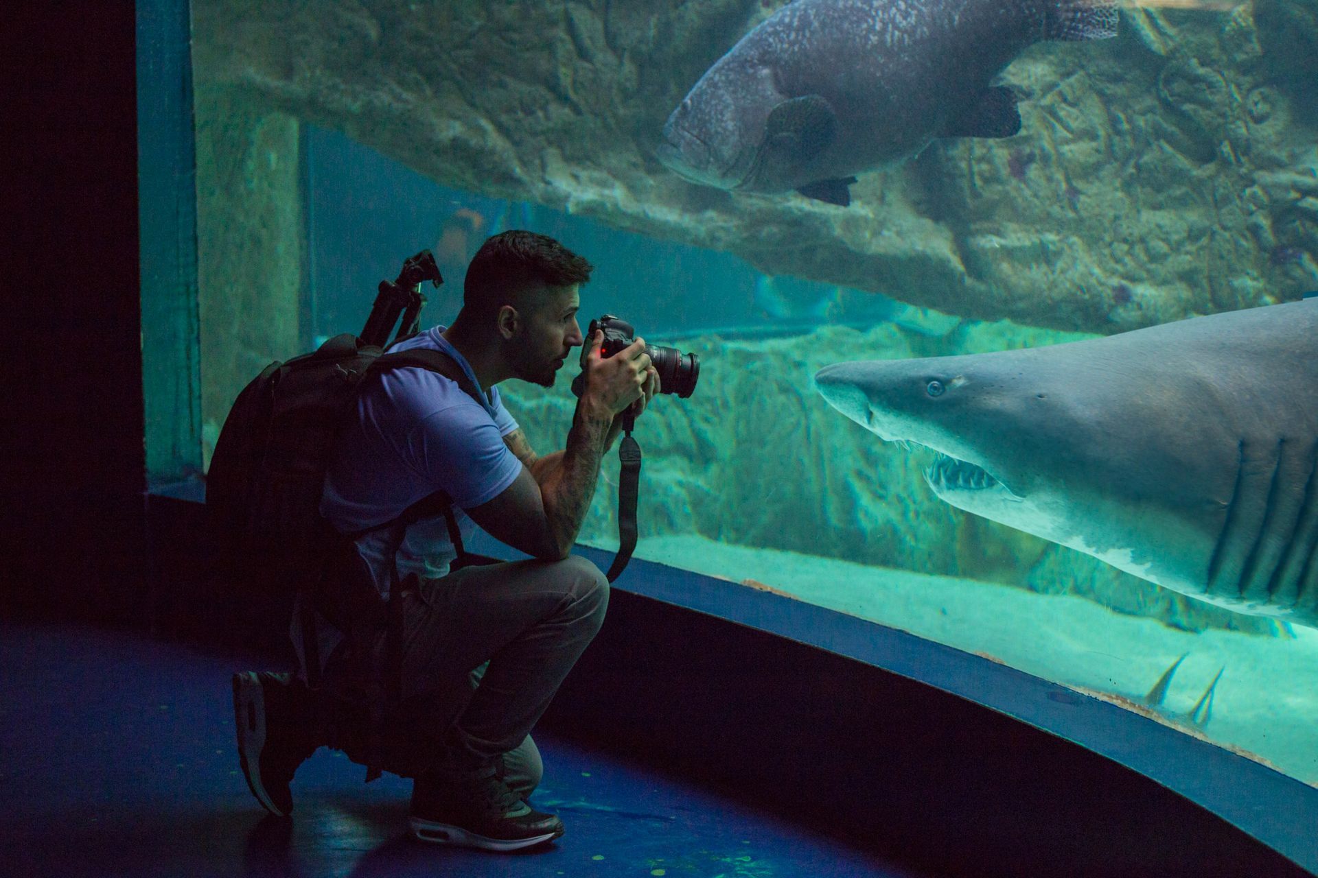 Madrid Aquarium