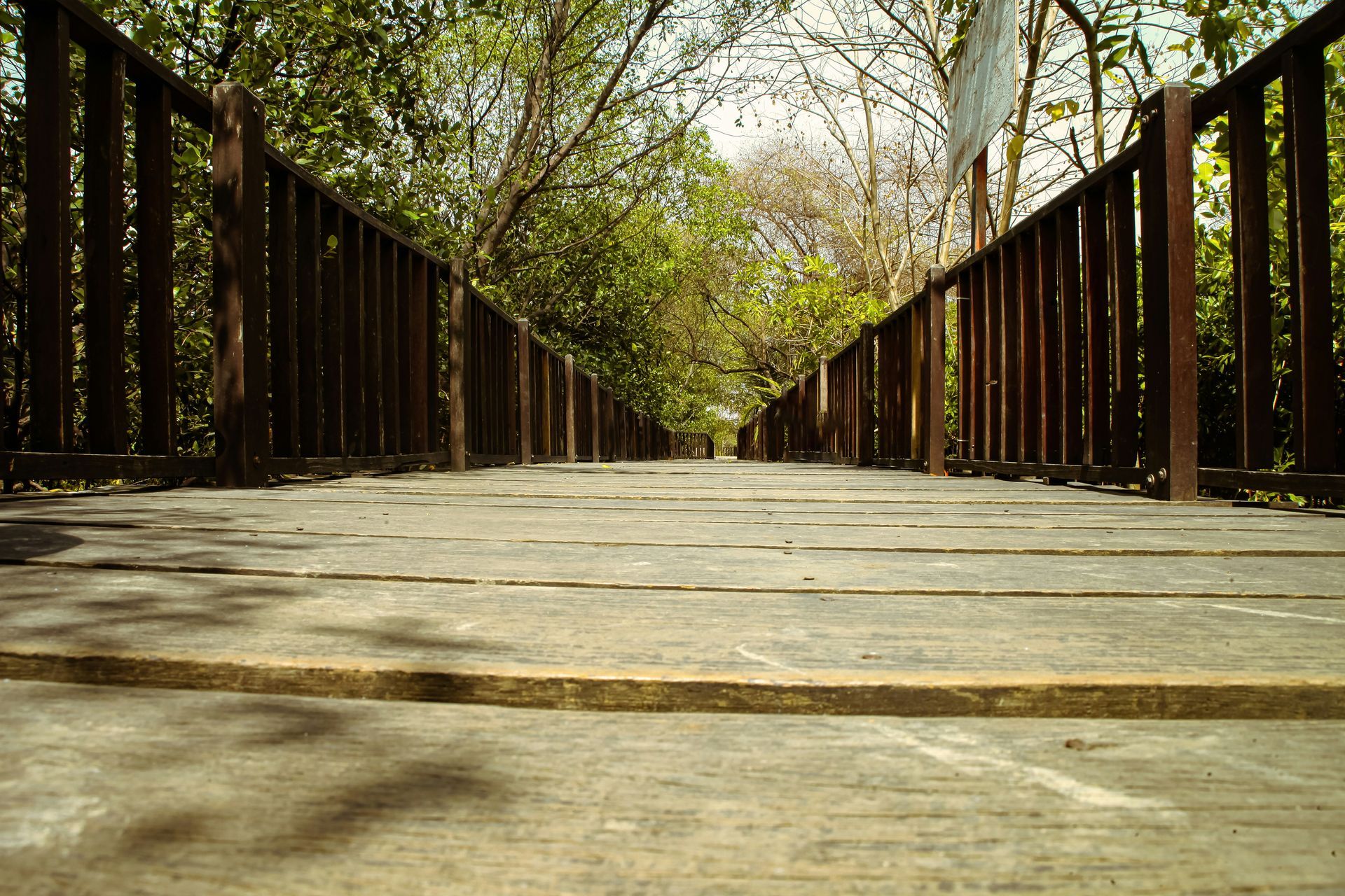 Mangrove National Park Mangrove National Park