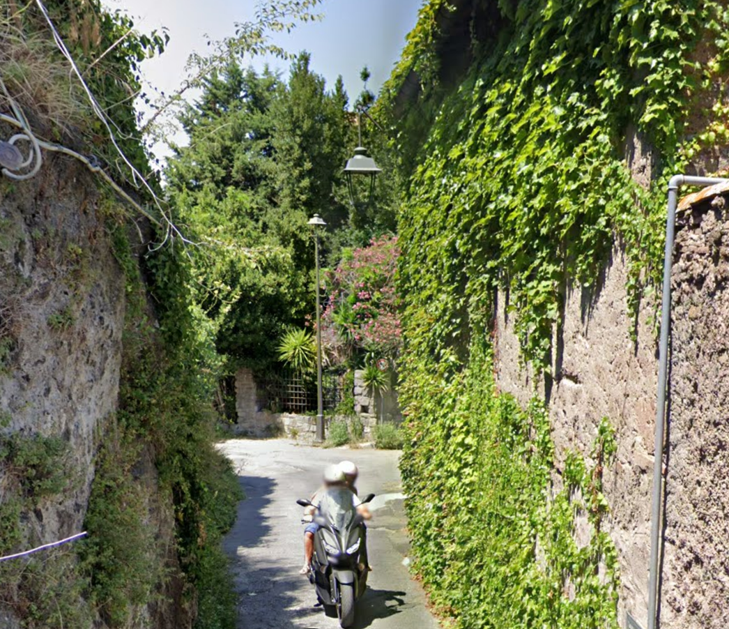 Medieval Districts by Google Earth
