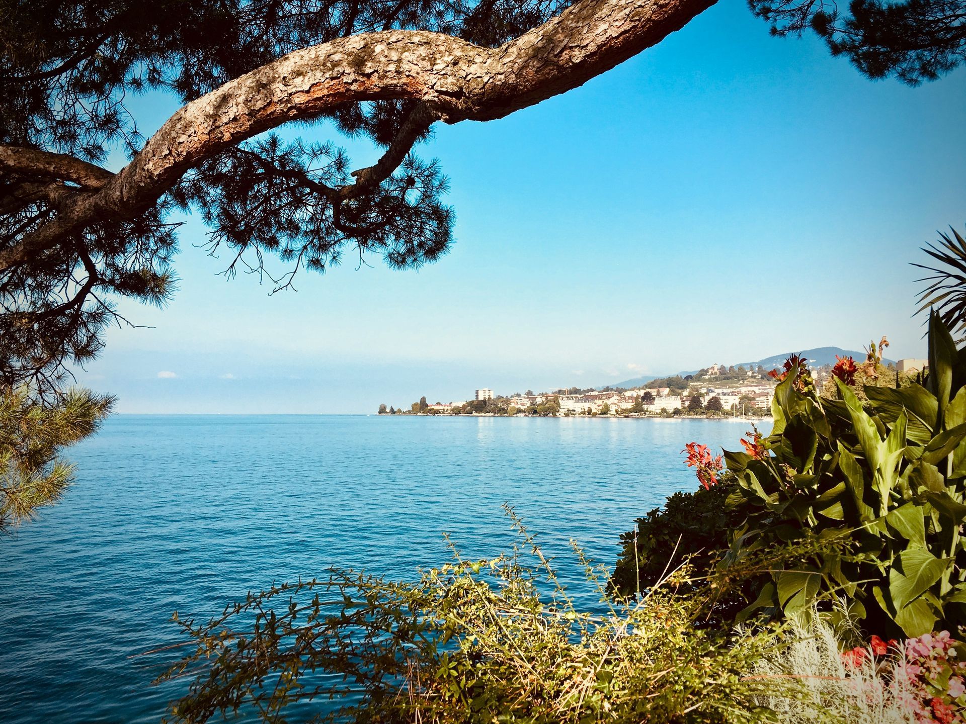 Montreux Montreux