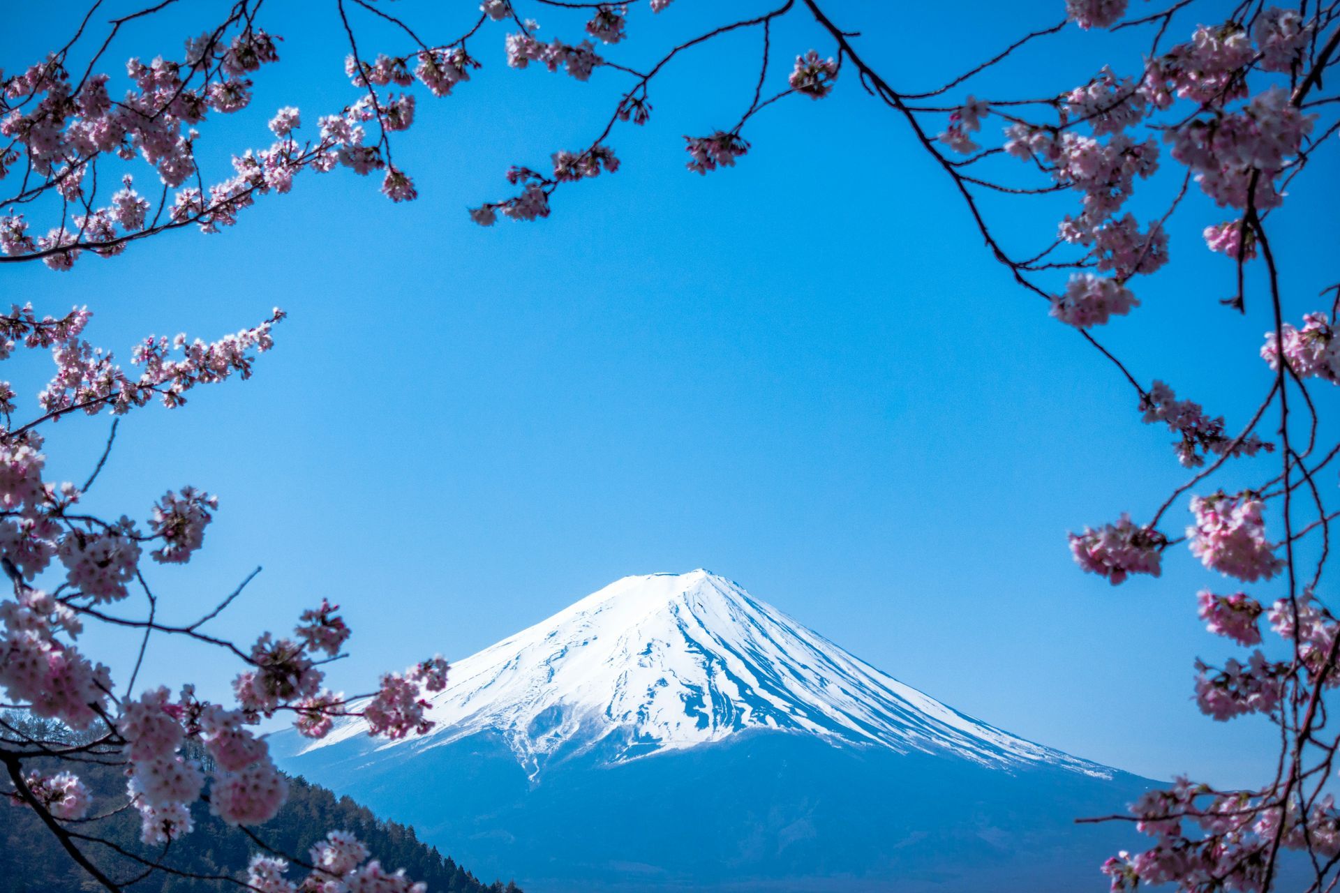 Mount Fuji Mount Fuji