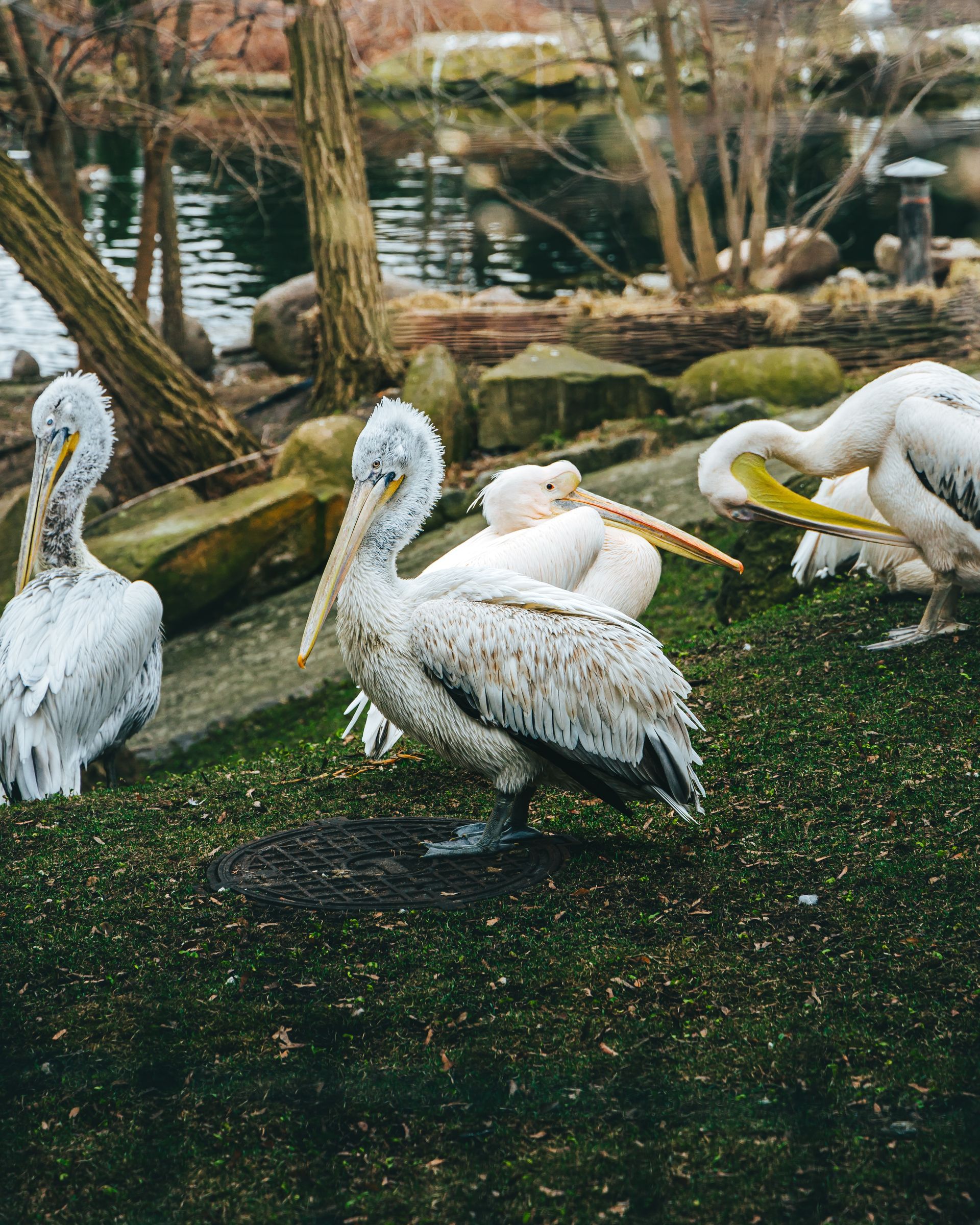 Mundomar Marine and Exotic Animal Park Mundomar Marine and Exotic Animal Park