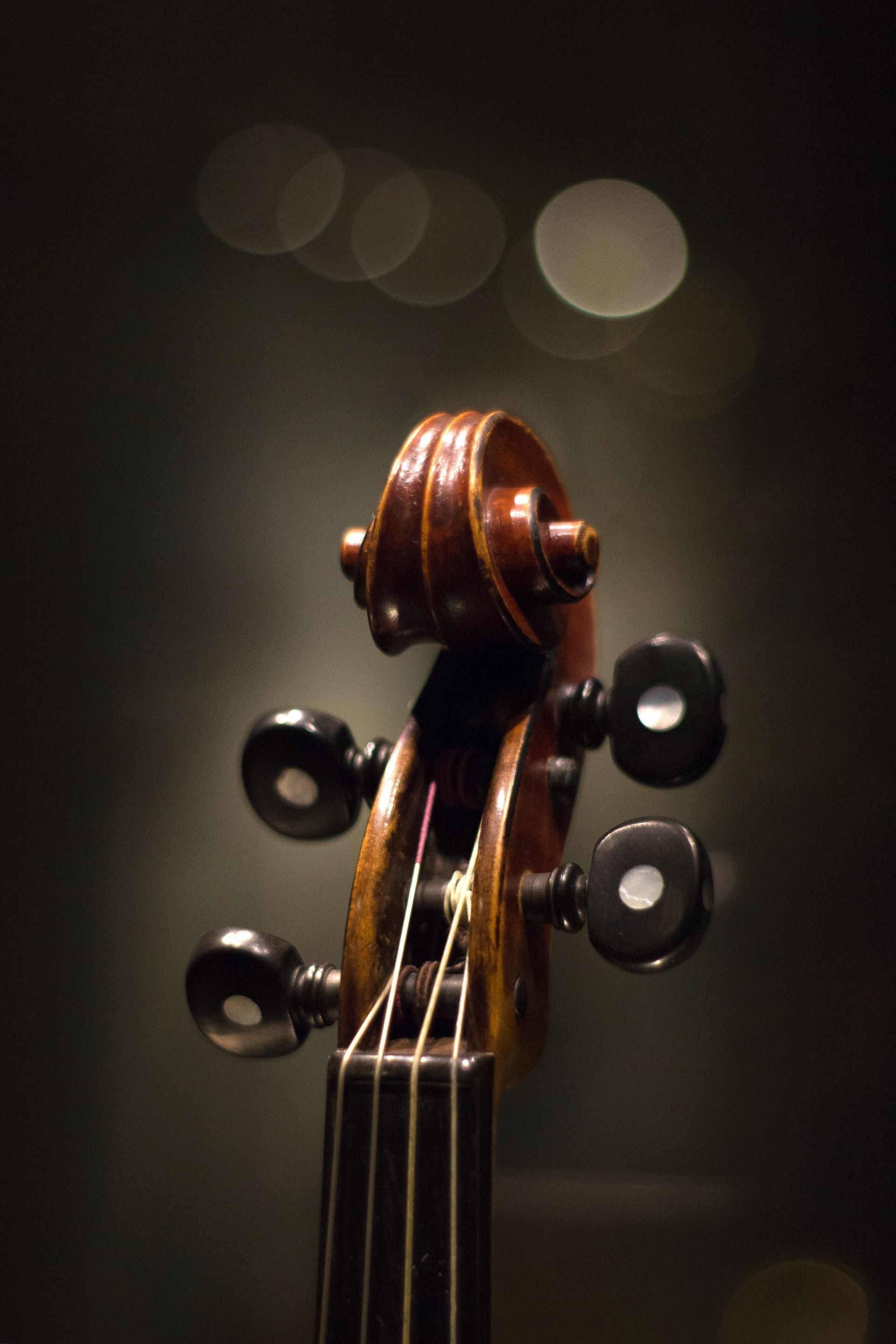 Museo del Violino of Cremona Museo del Violino of Cremona