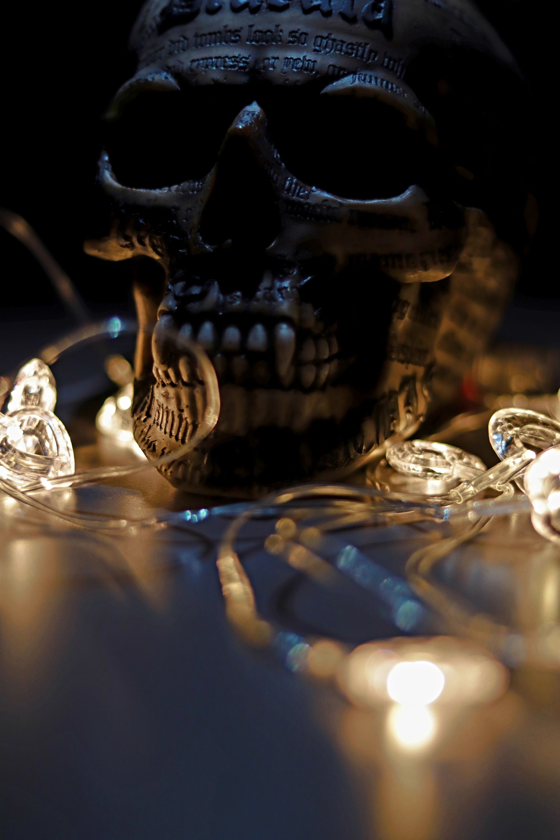 Museum of Vampires and Legendary Creatures Museum of Vampires and Legendary Creatures