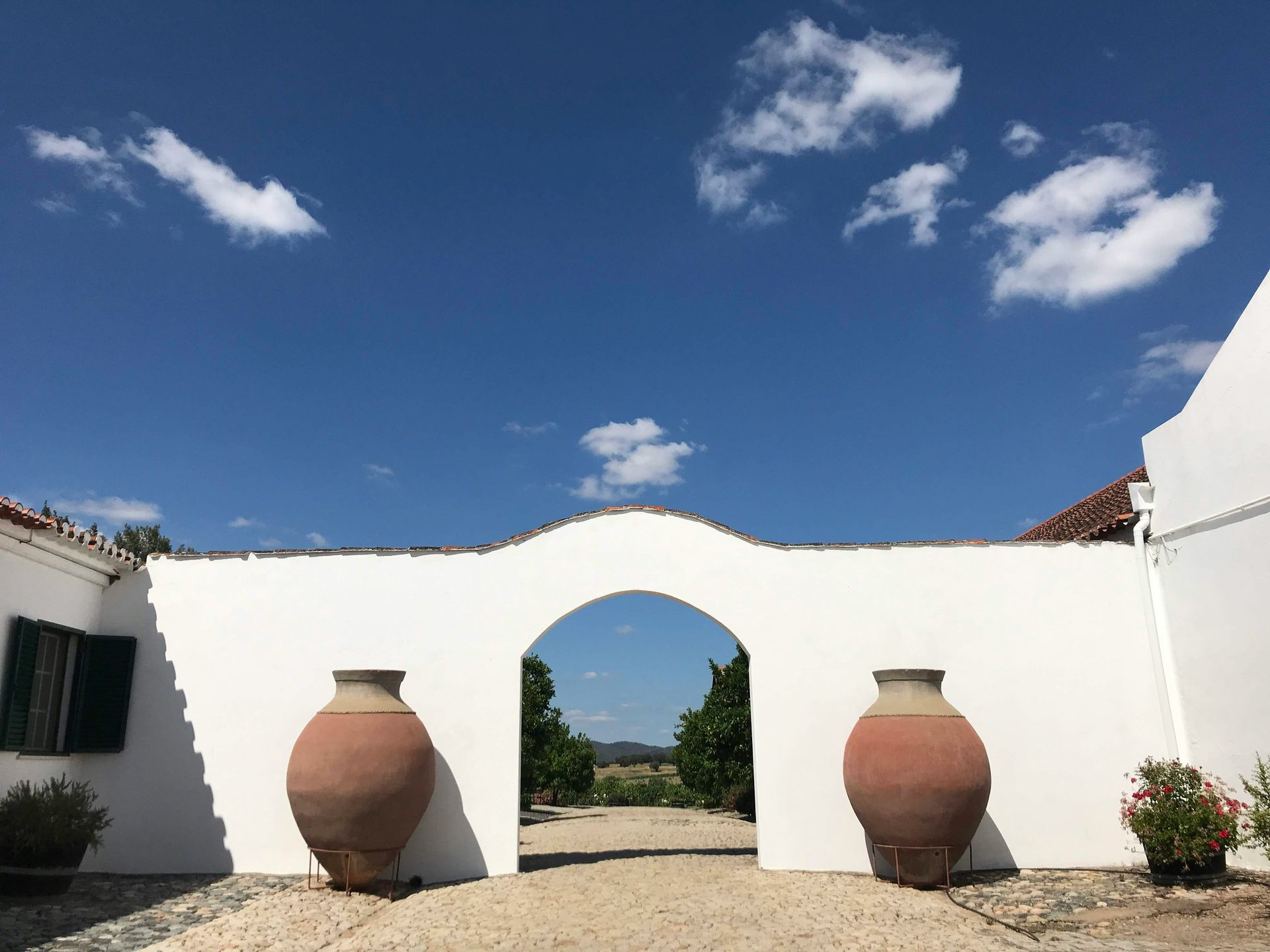 Must-Try Wine Tasting Experiences and Vineyard Tours