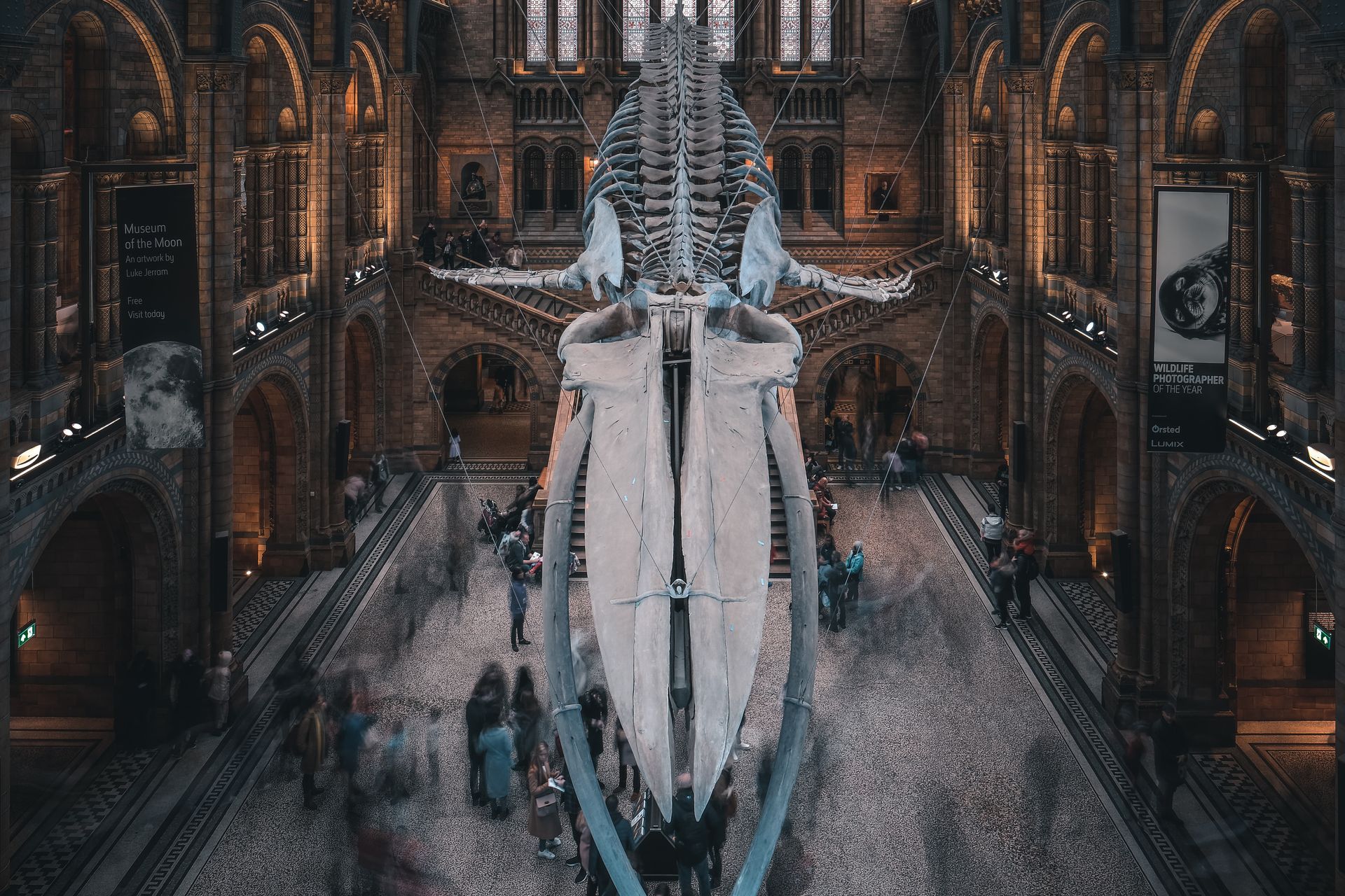 Natural History Museum Natural History Museum