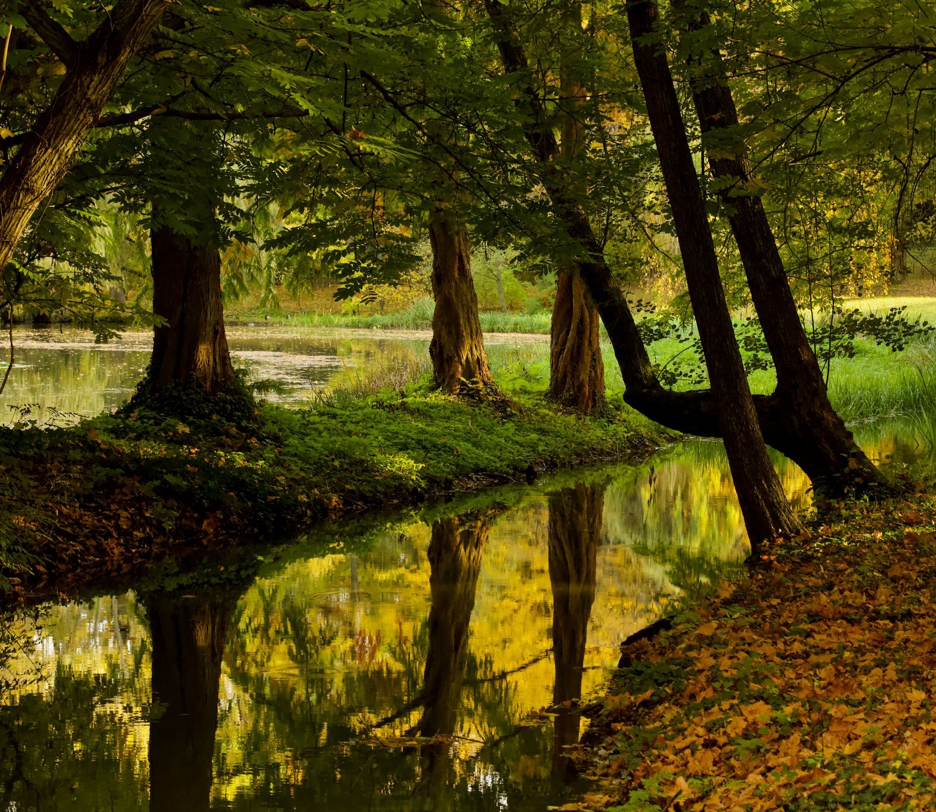 Nature